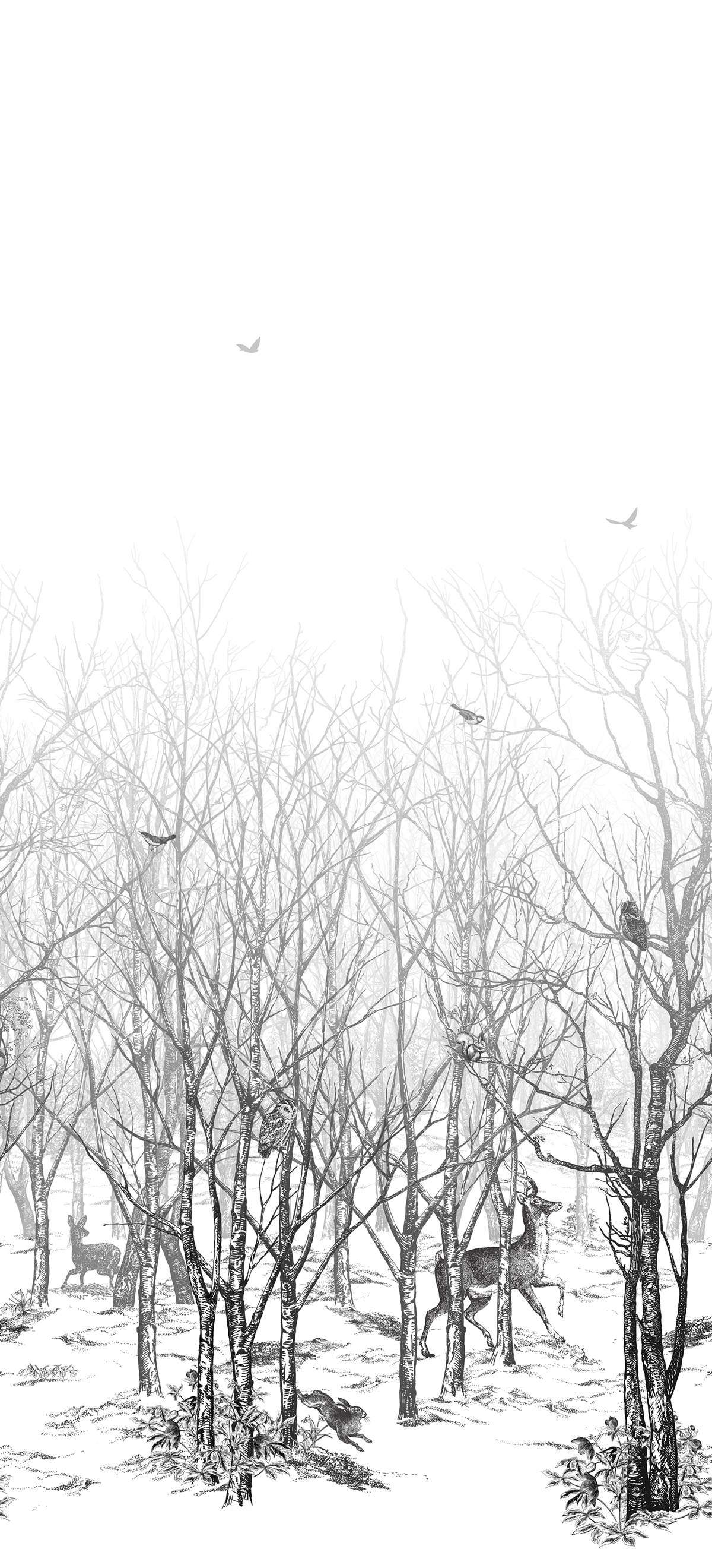 Papier peint panoramique Forêt enchantée - Isidore Leroy