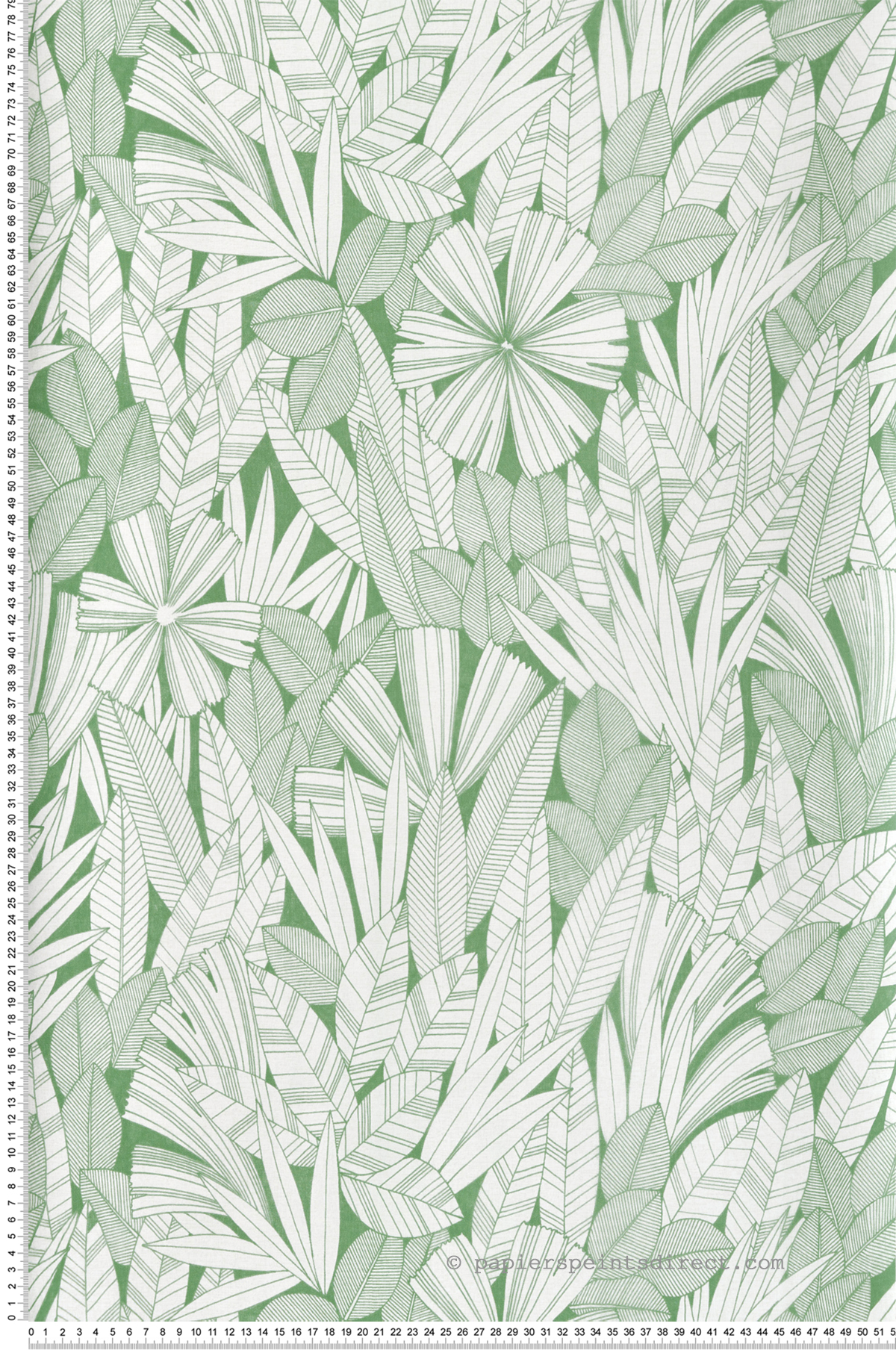 Papier peint Feuille Tropicale Bicolore vert - Happy de Lutèce | Réf. LTC-FD26345