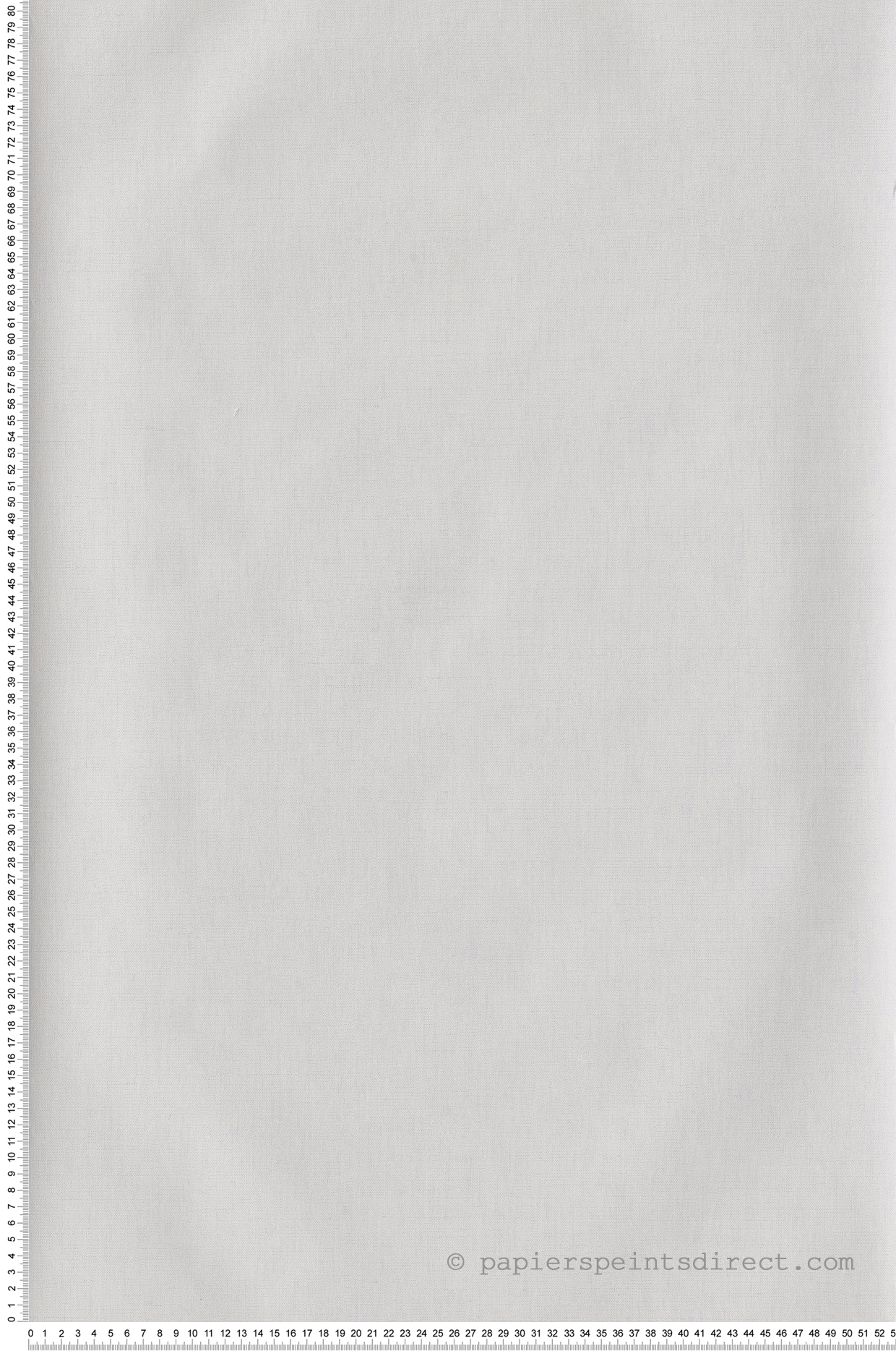 Papier peint Uni blanc gris - La Forêt de Casélio | Réf. FRT100601010