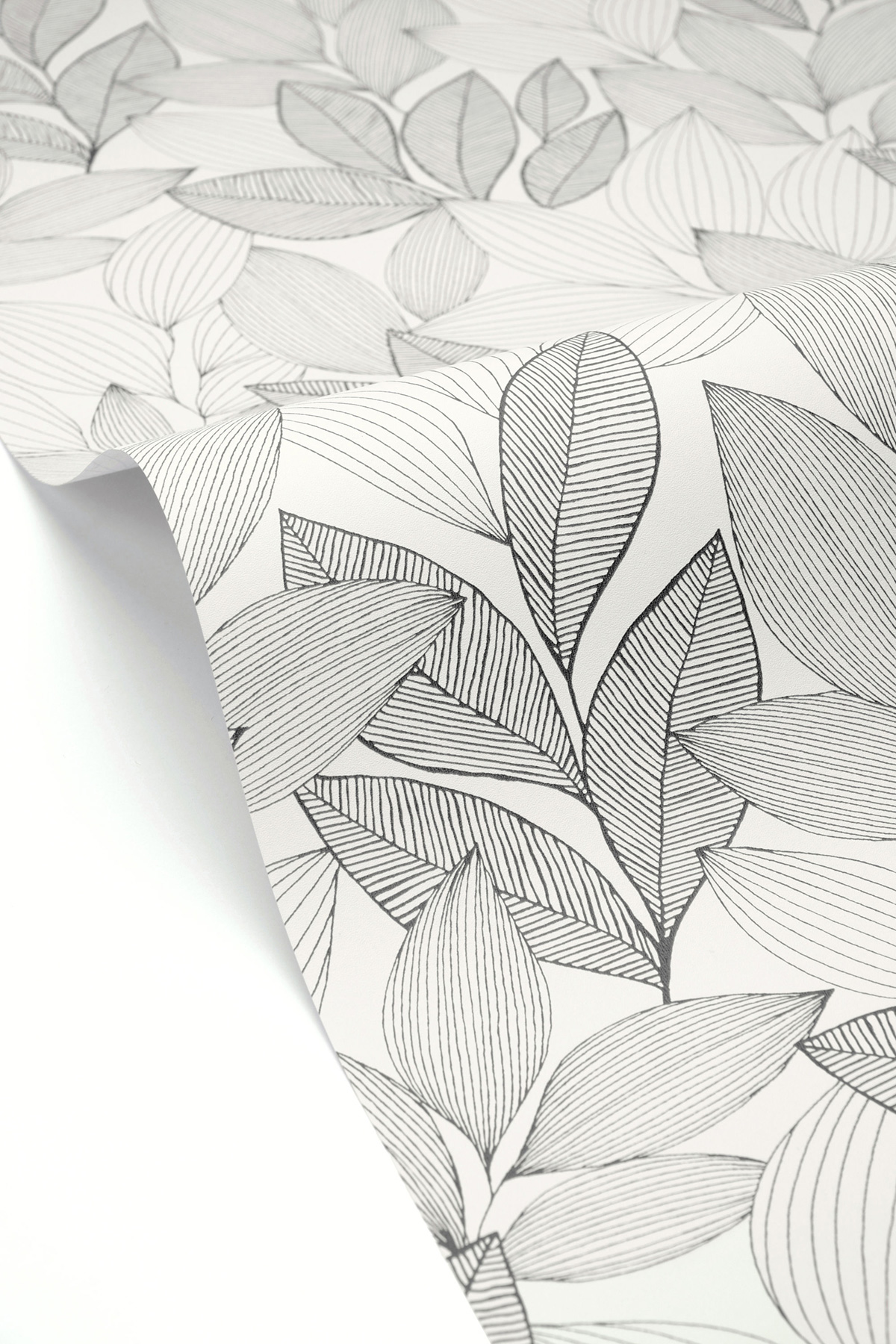 Papier peint Feuillage Little Botanica noir et blanc - Moonlight 3 de Casélio ZOOM | Réf. MNL3107150945