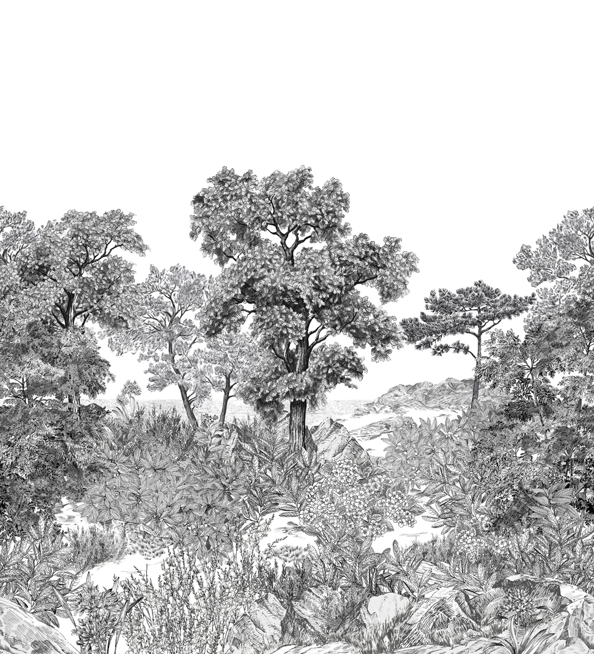 Papier peint panoramique Forêt de Bretagne Grisaille A+B - 1/2/3/4/5/6 - Isidore Leroy