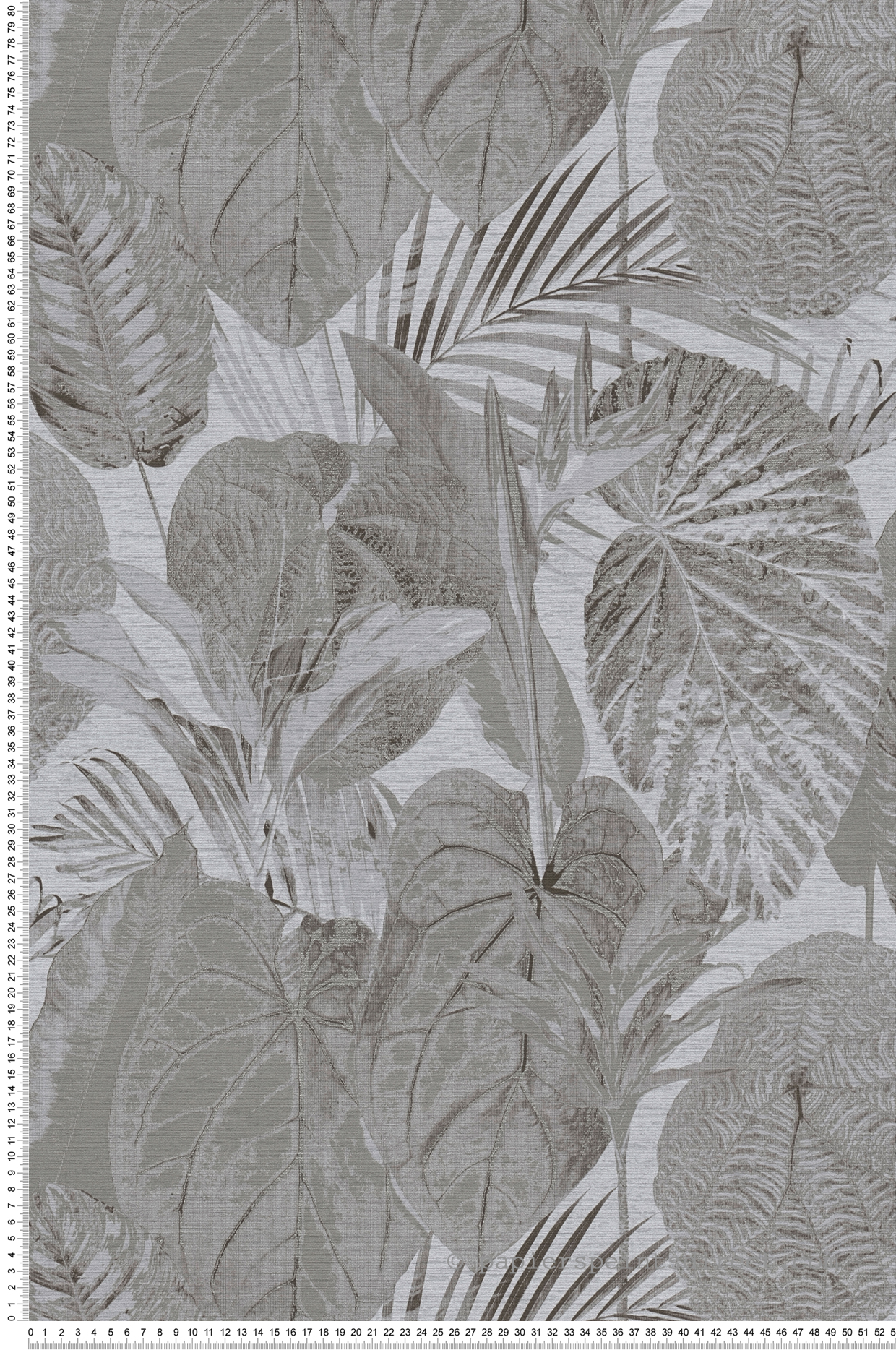 Papier peint Feuilles Palmes Colosia gris argenté - Famous Garden d'A.S. Création | Réf. AS-393555