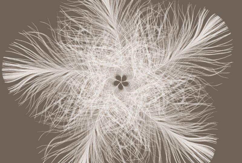 Federstern- Panoramique Komar