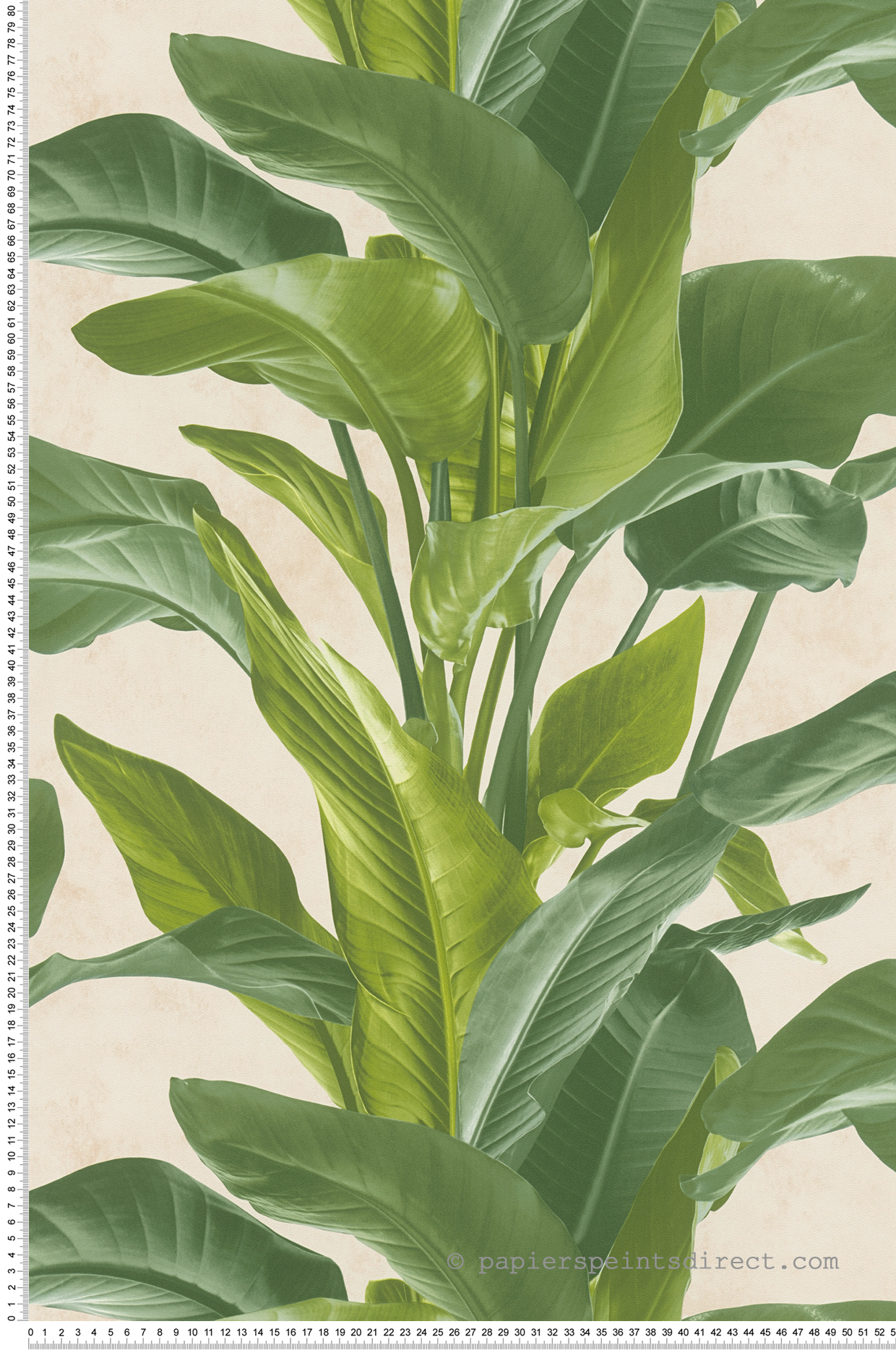 Papier peint Nature Feuillage vert écru - Metropolitan Stories 2 d'AS Création | Réf. SP15498