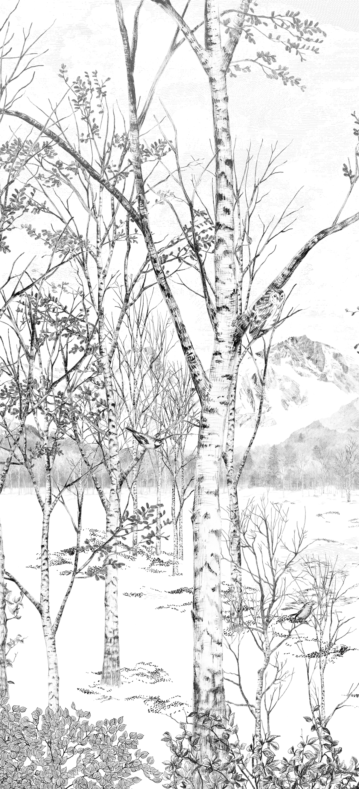 Papier peint panoramique Forêt Nunavut Grisaille A - 1/2/3 - Isidore Leroy