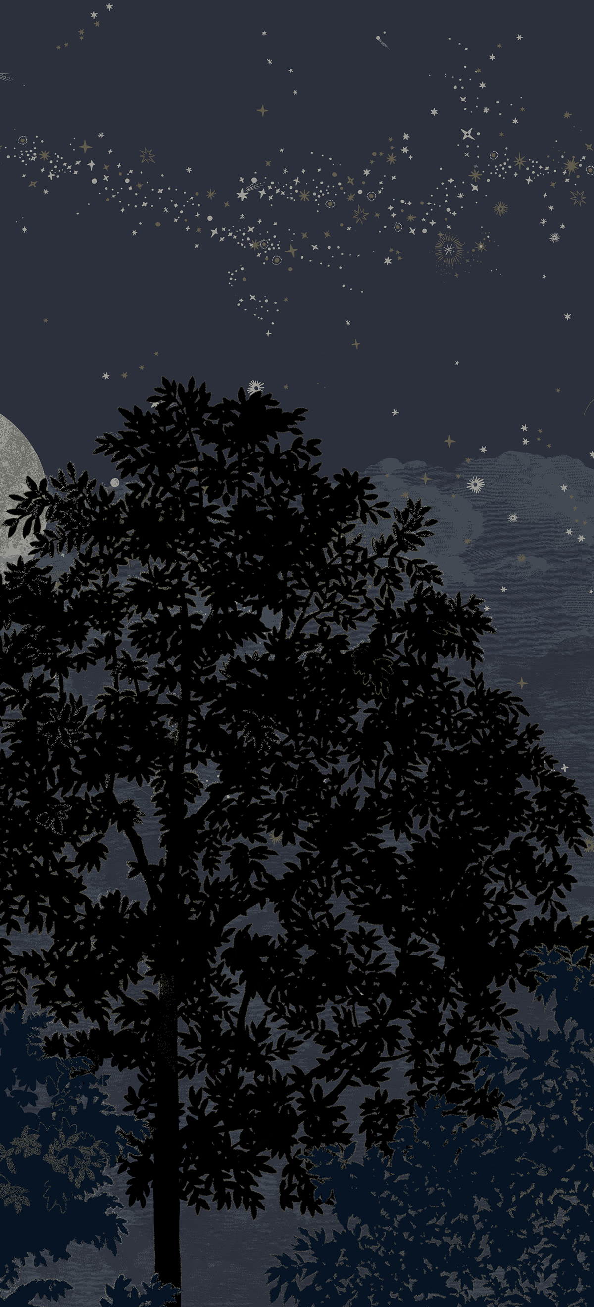 Papier peint panoramique Éclipse Nocturne C - 7/8/9 - Isidore Leroy