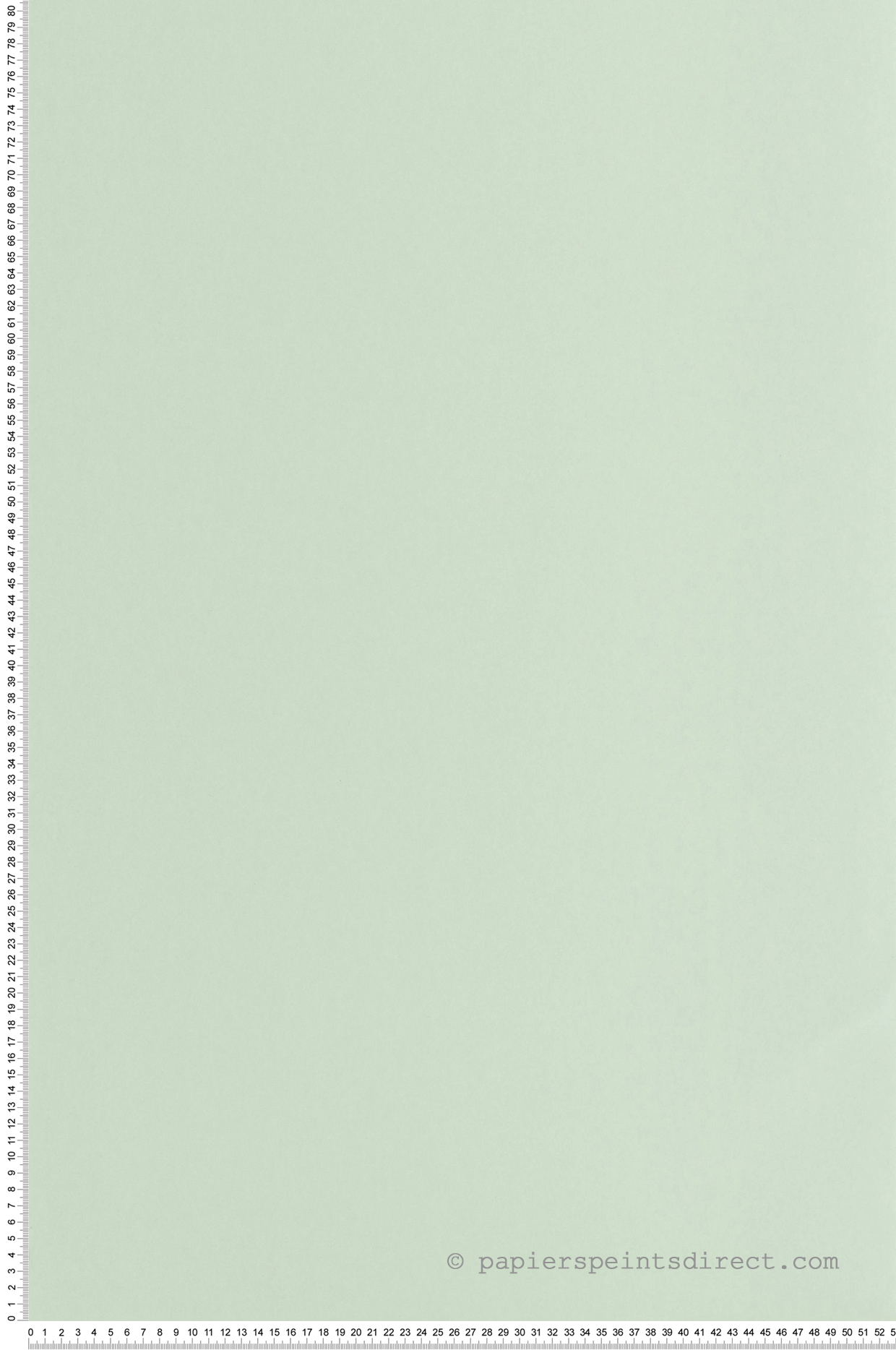 Papier peint Uni Pigments Buvard vert d'eau - Galons et Frises de Casadéco | Réf. GAFR200336161