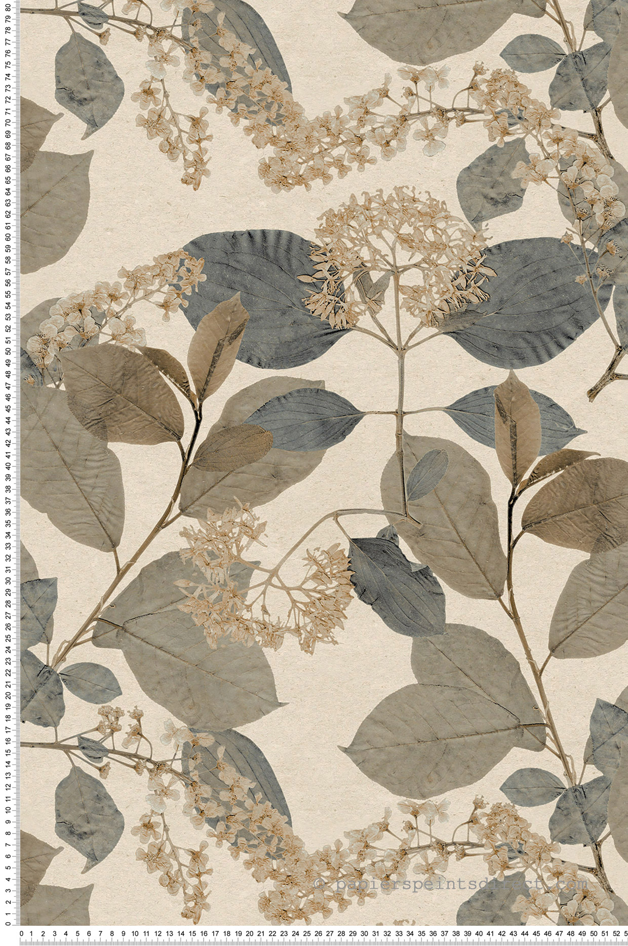 Papier peint Feuille Branchage Aplat gris taupe - Herbier de Montecolino | Réf. MC-HE27232