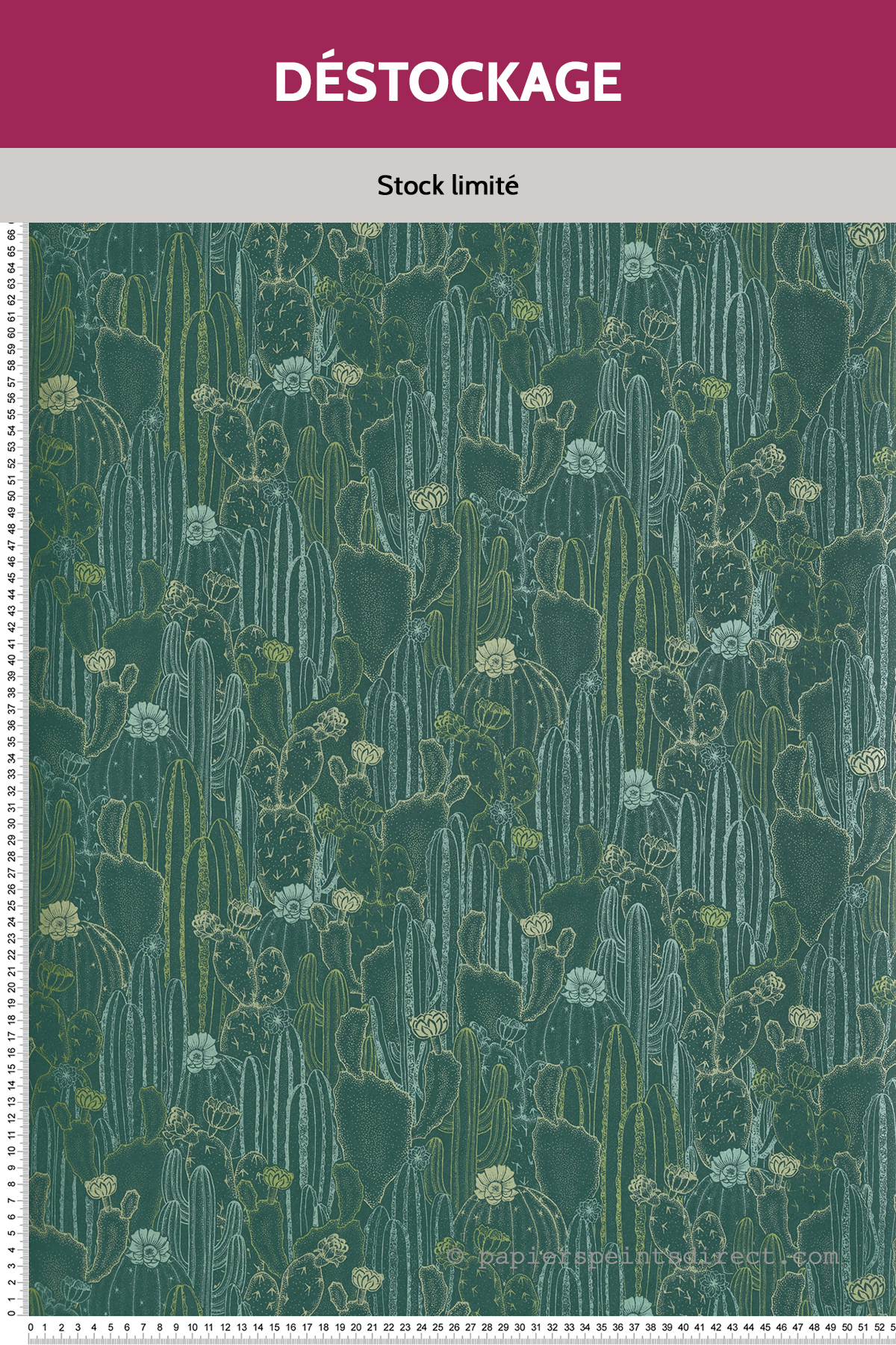 Papier peint Destockage - Cactus et Fleurs Cactaceae vert - Botanica de Casadéco