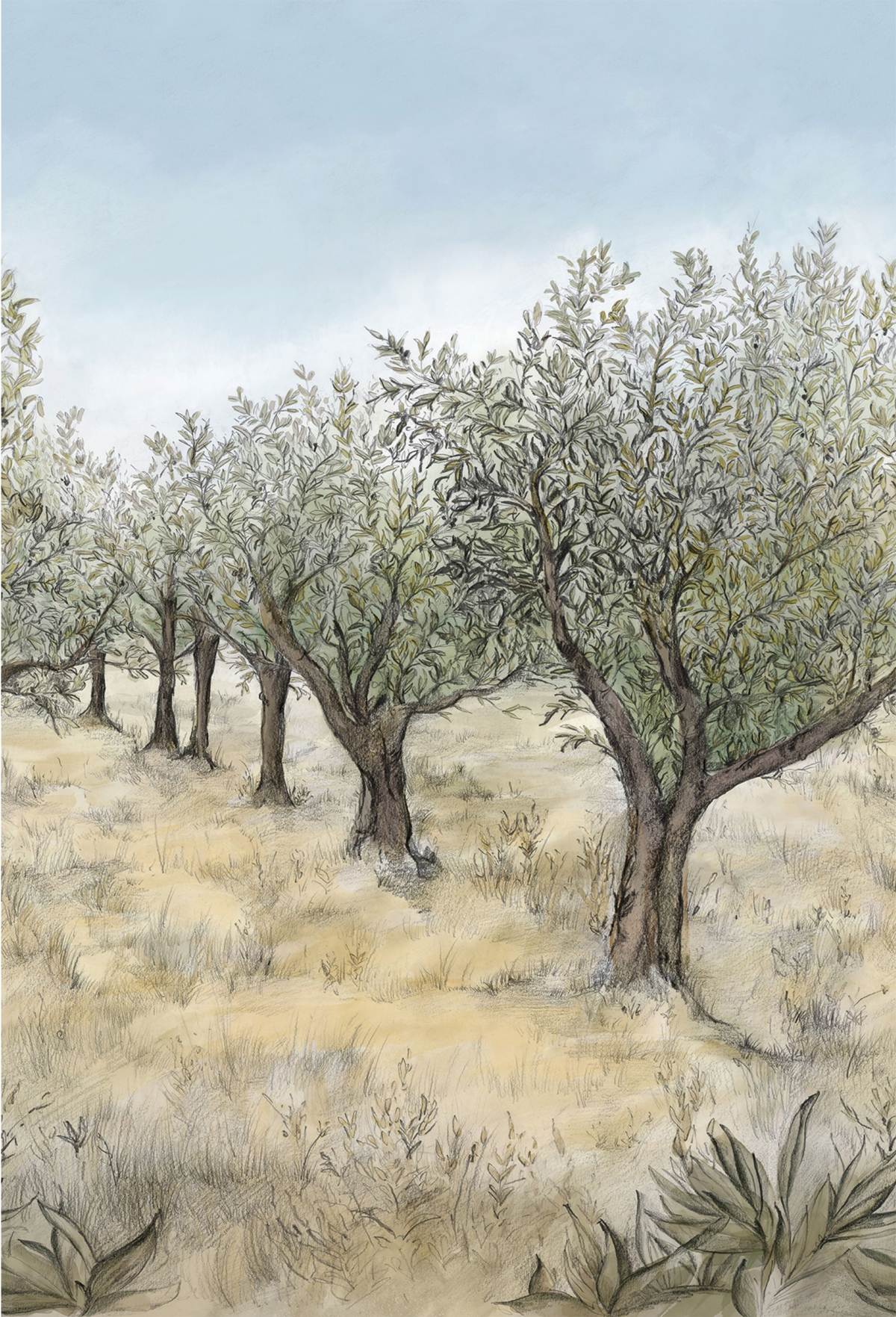 Papier peint Panoramique Oliviers Lauris kaki vinyle sur intissé - Panoramas 2 de Casamance | Réf. CAS-75631222