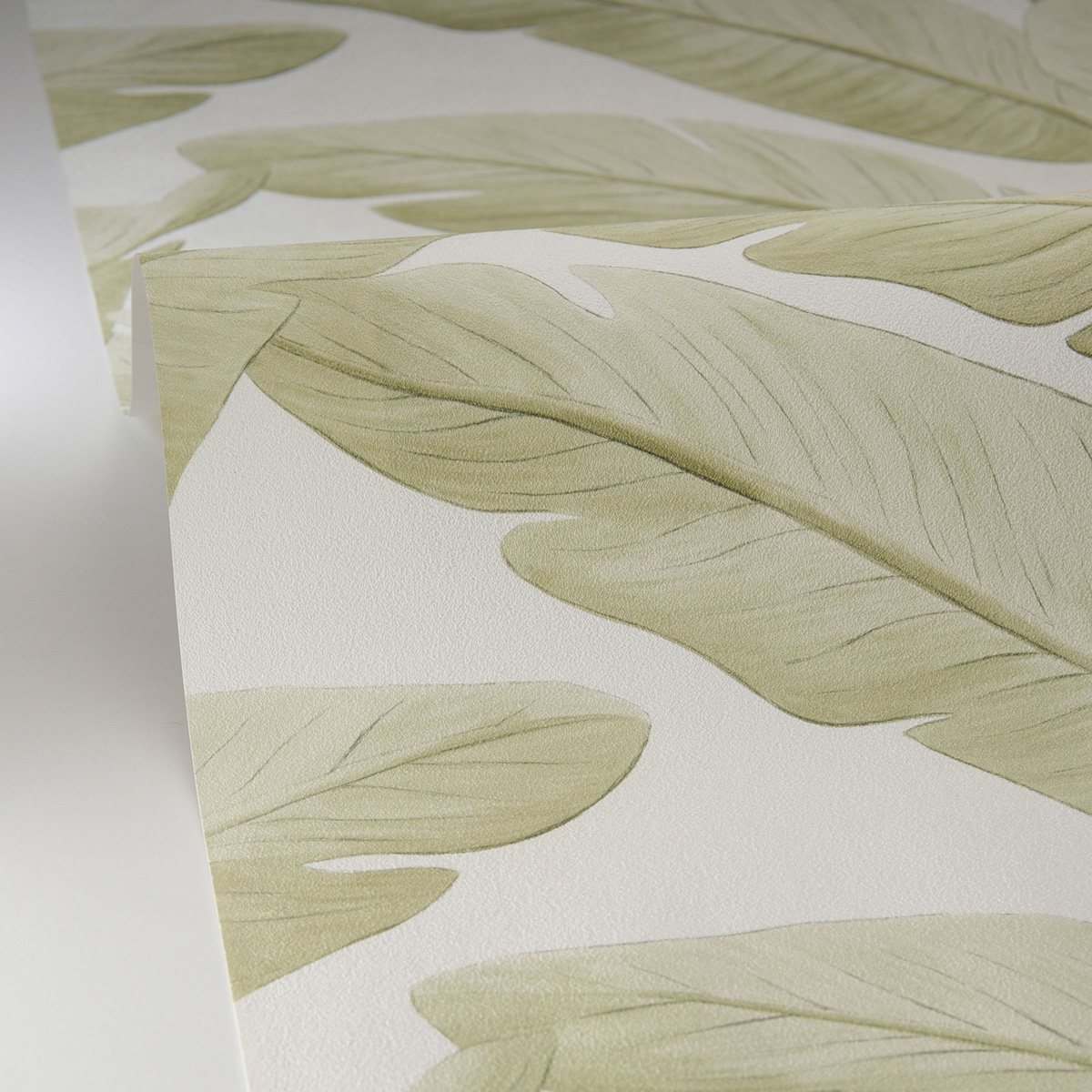 Papier peint Palmes Bananier Tropicalia vert amande - Borneo de Casélio AMBV| Réf. BORN106547003