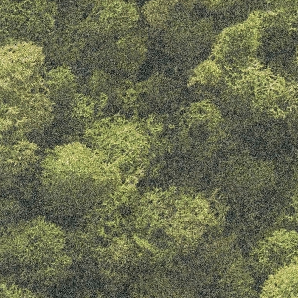 Papier peint Mousse Forêt vert - Pintwalls 2 d'A.S. Création AMB6 | Réf. AS-394051