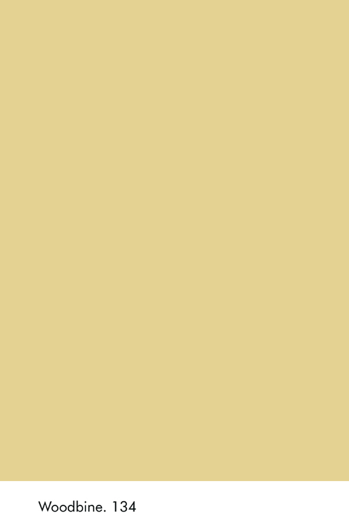 Peinture Little Greene Woodbine n°134