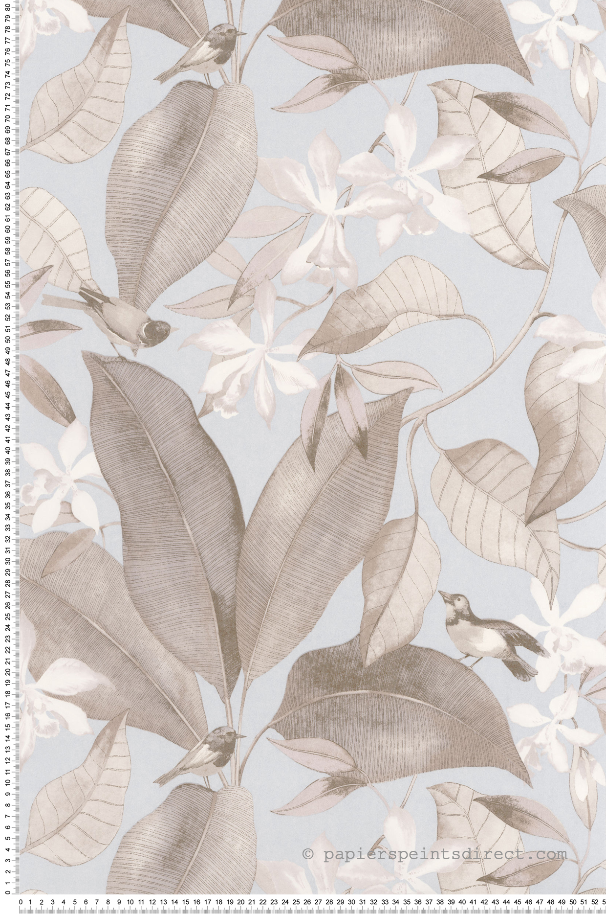 Papier peint Feuillage Bird Song bleu pâle - Delicacy de Casadéco | Réf. DELY85382261