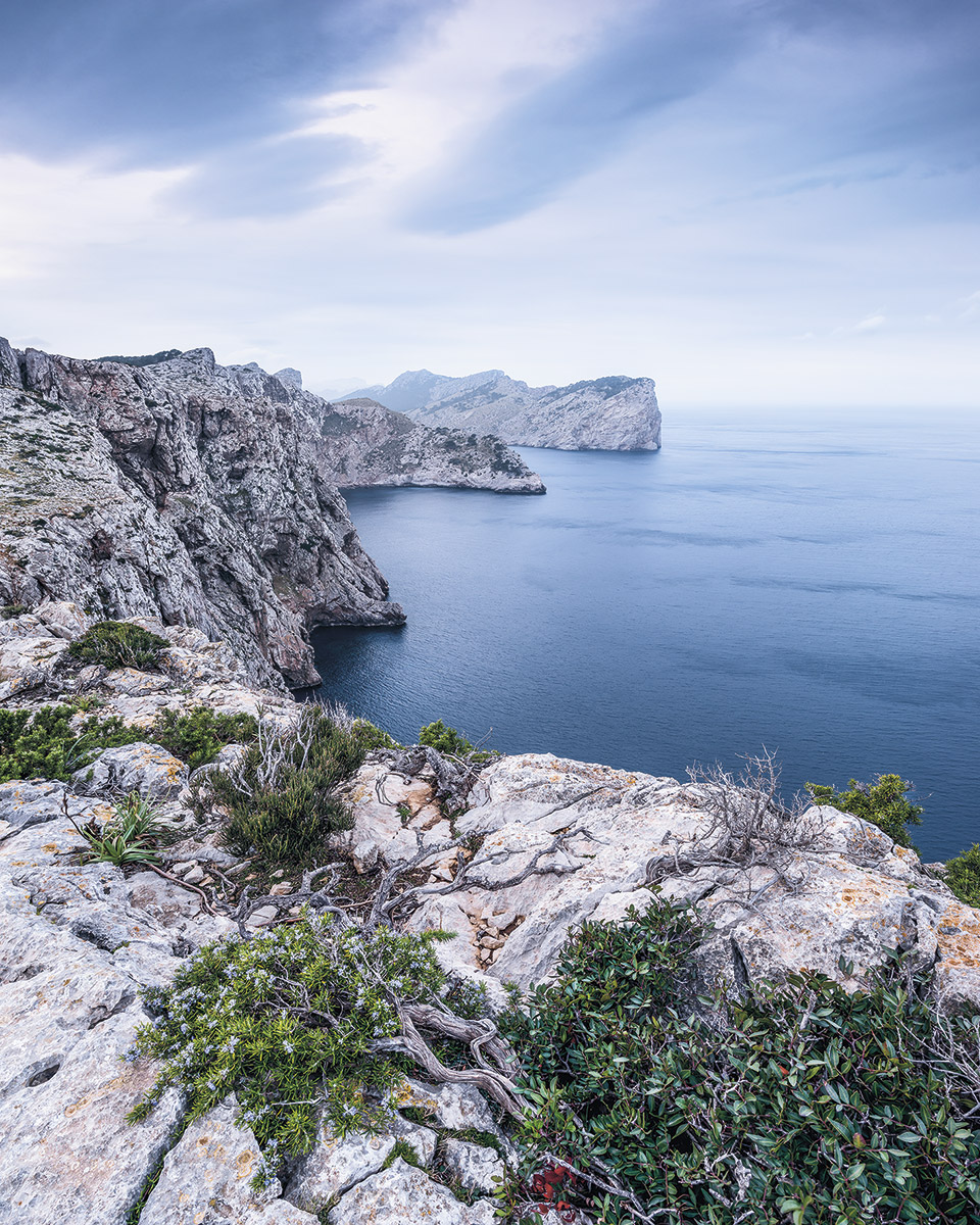 Panoramique Bizarre Coast - Papier peint Komar