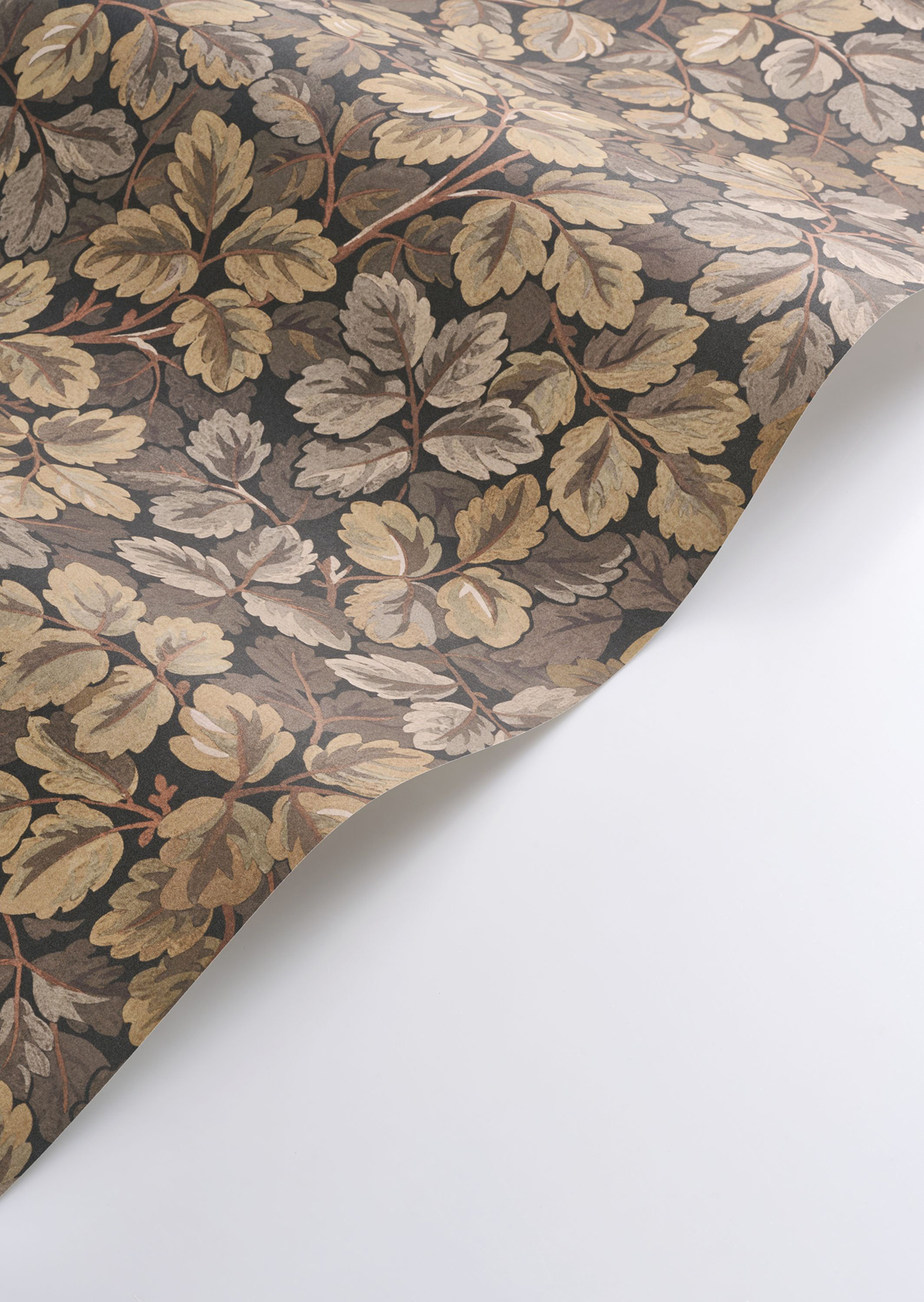 Papier peint Feuille de Chêne Regent's Park brun - Heritage de Casadéco AMBV | Réf. HETA201202971