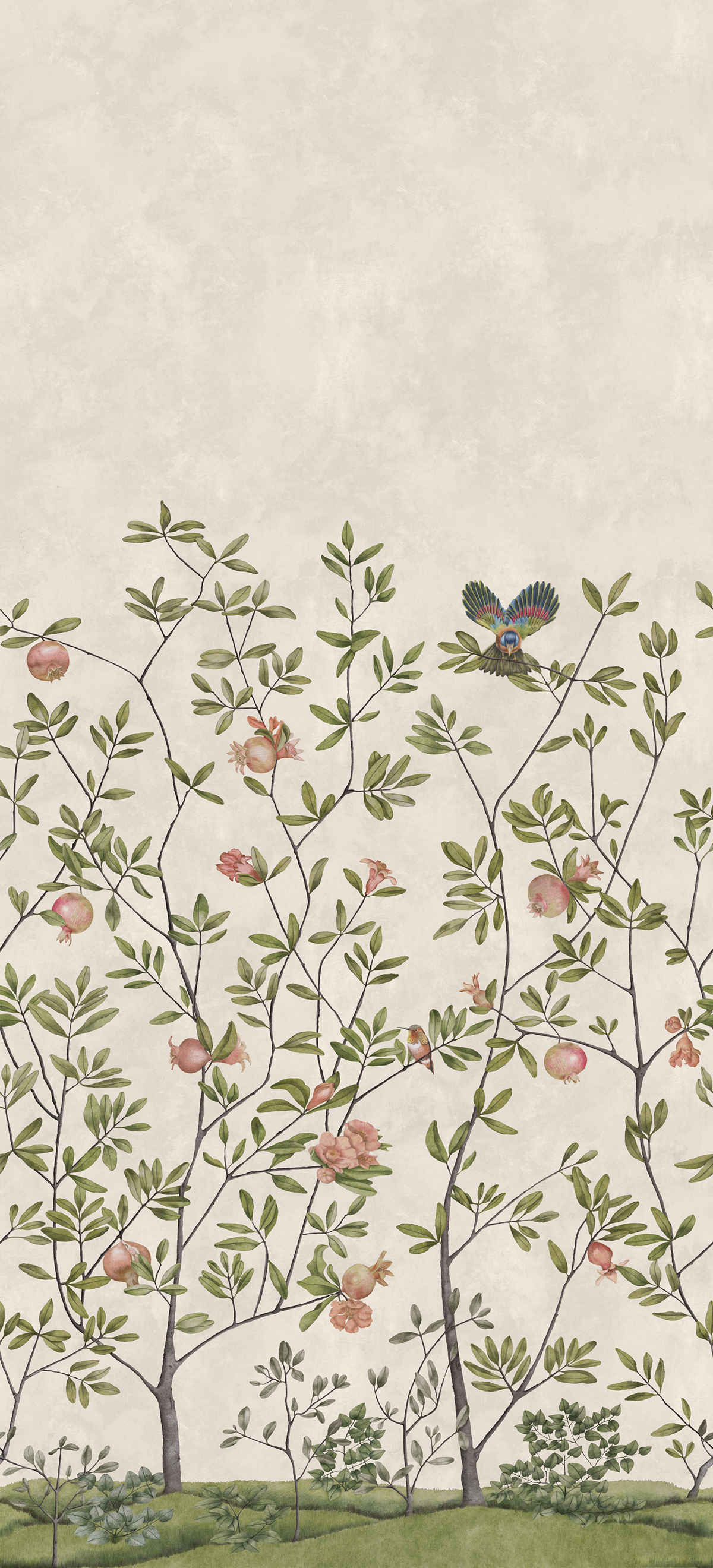 Papier peint panoramique Nature Grenades Beige A - 1/2/3 - Isidore Leroy