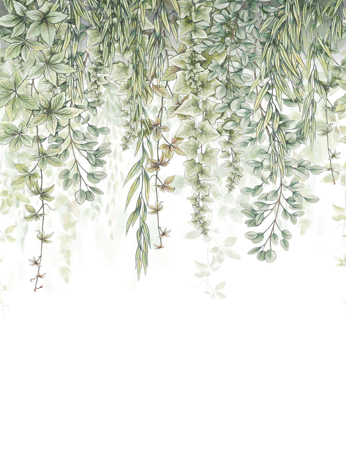 Papier peint panoramique Plante Tombante vert M 212 X 280 - Reliefs de Casélio | Réf. RLF106317026