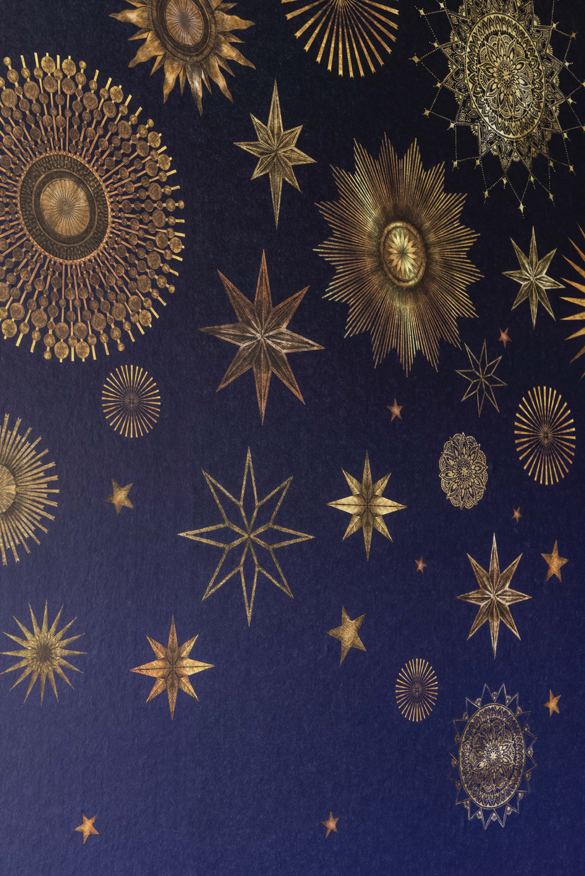 Papier peint panoramique Ciel Celestia nuit - DayDreams et The Wallpaper Collection de Matthew Williamson | Réf. OSB-W7495-01