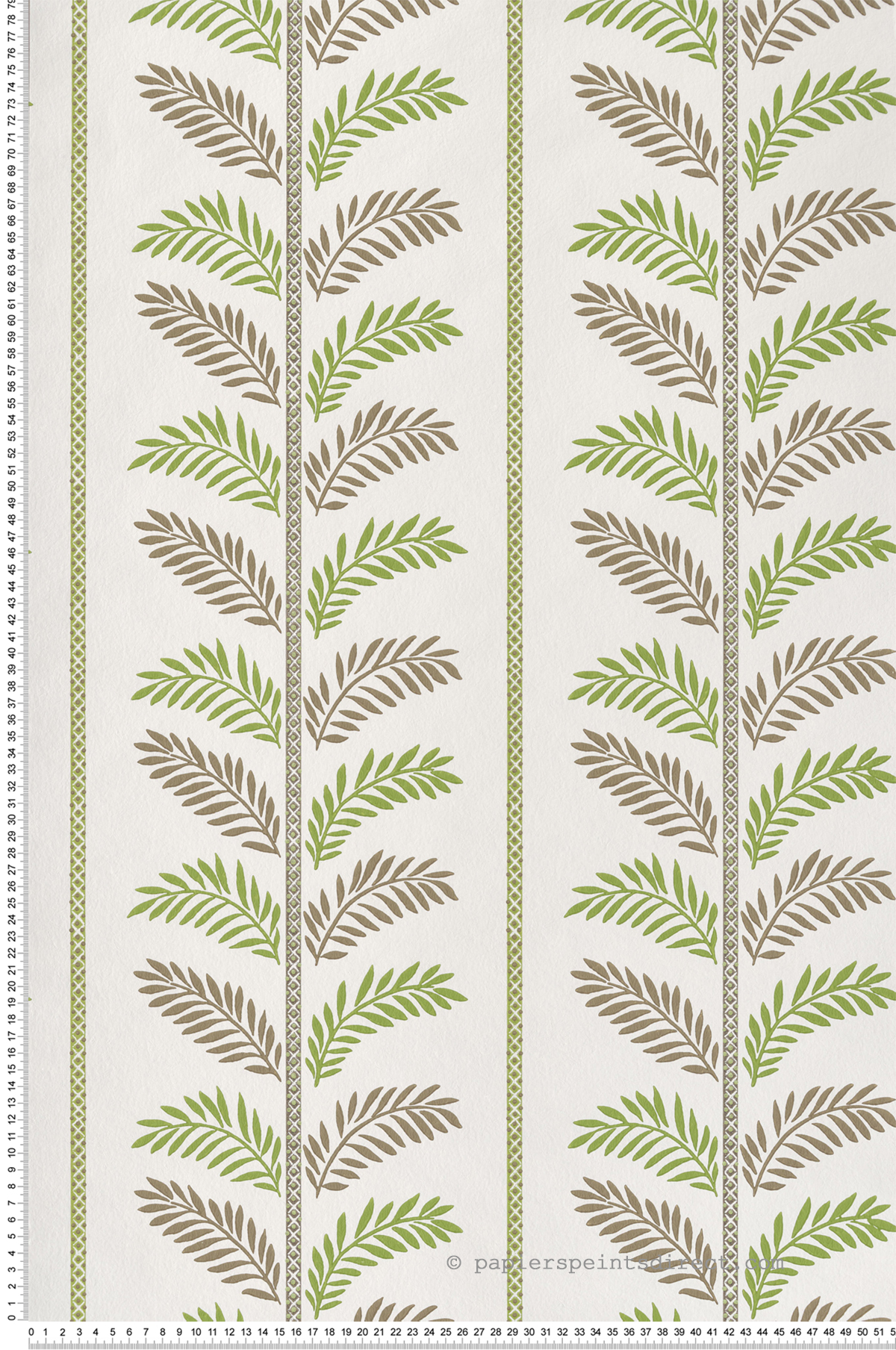 Papier peint Feuille Plumier vert marron - Signature de Nina Campbell | Réf. OSB-NCW4496-03