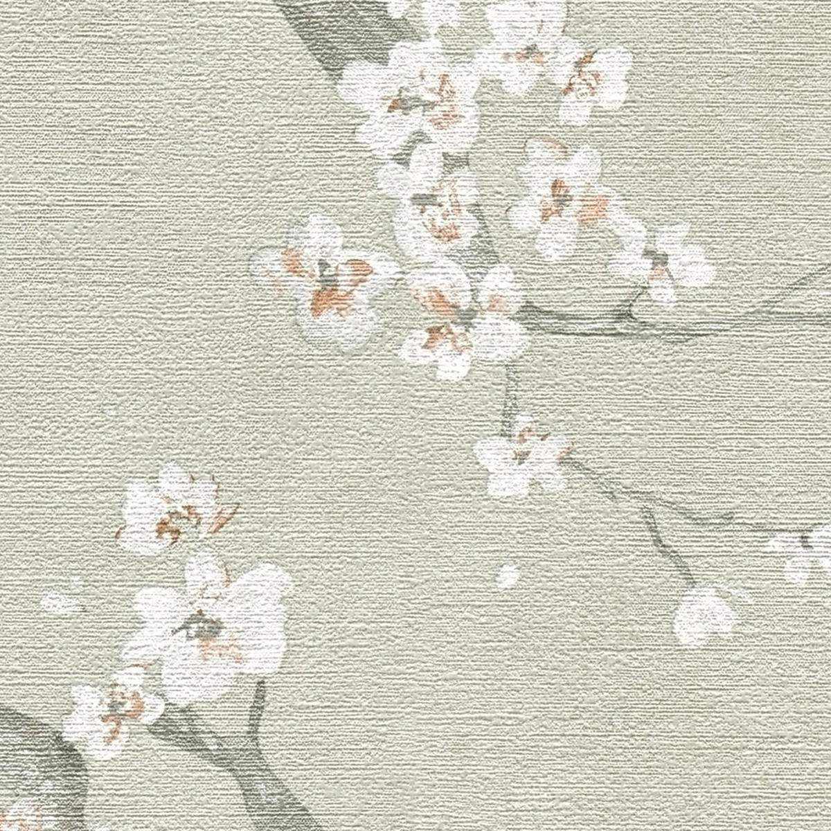 Papier peint Fleur Cerisier Métallisé vert de gris - Metropolitan Stories 4 Hot Spots d'A.S. Création AMB5| Réf. AS-781991