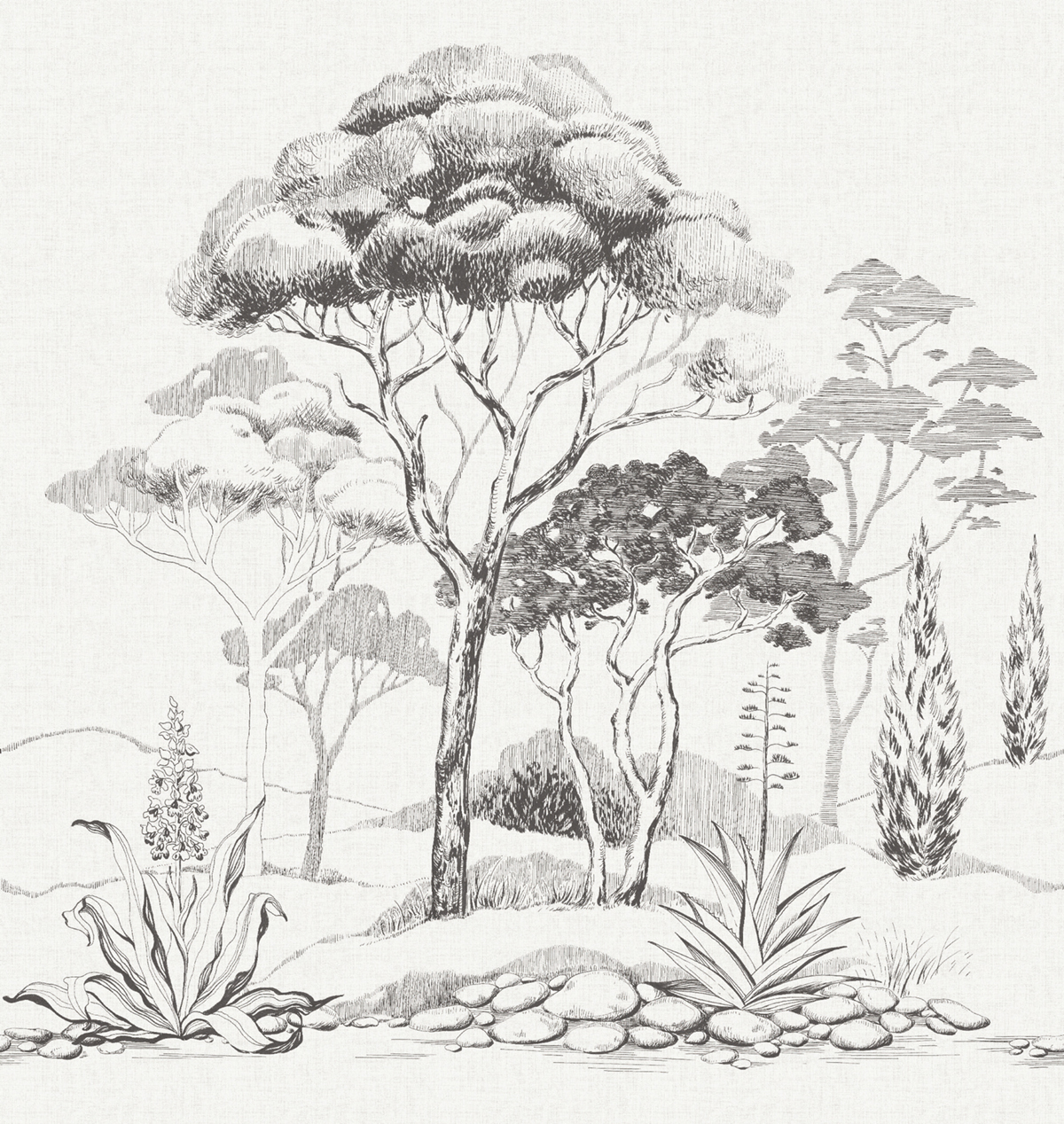 Papier peint panoramique Arbres Pins des Landes noir et blanc - Cuisines & Bains de Lutèce | Réf. LTC-51231809