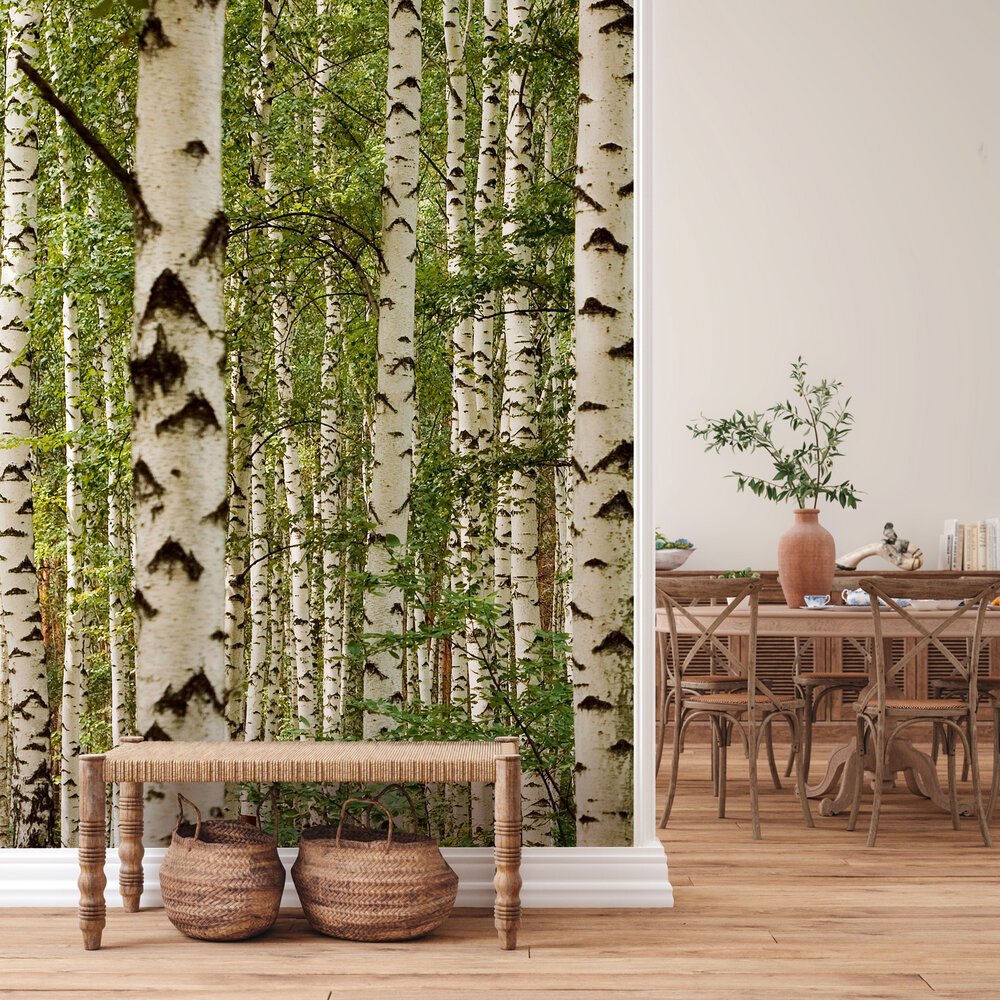 Papier peint panoramique Forêt Bouleau - Wall Love d'A.S. Création | Réf. DD129576