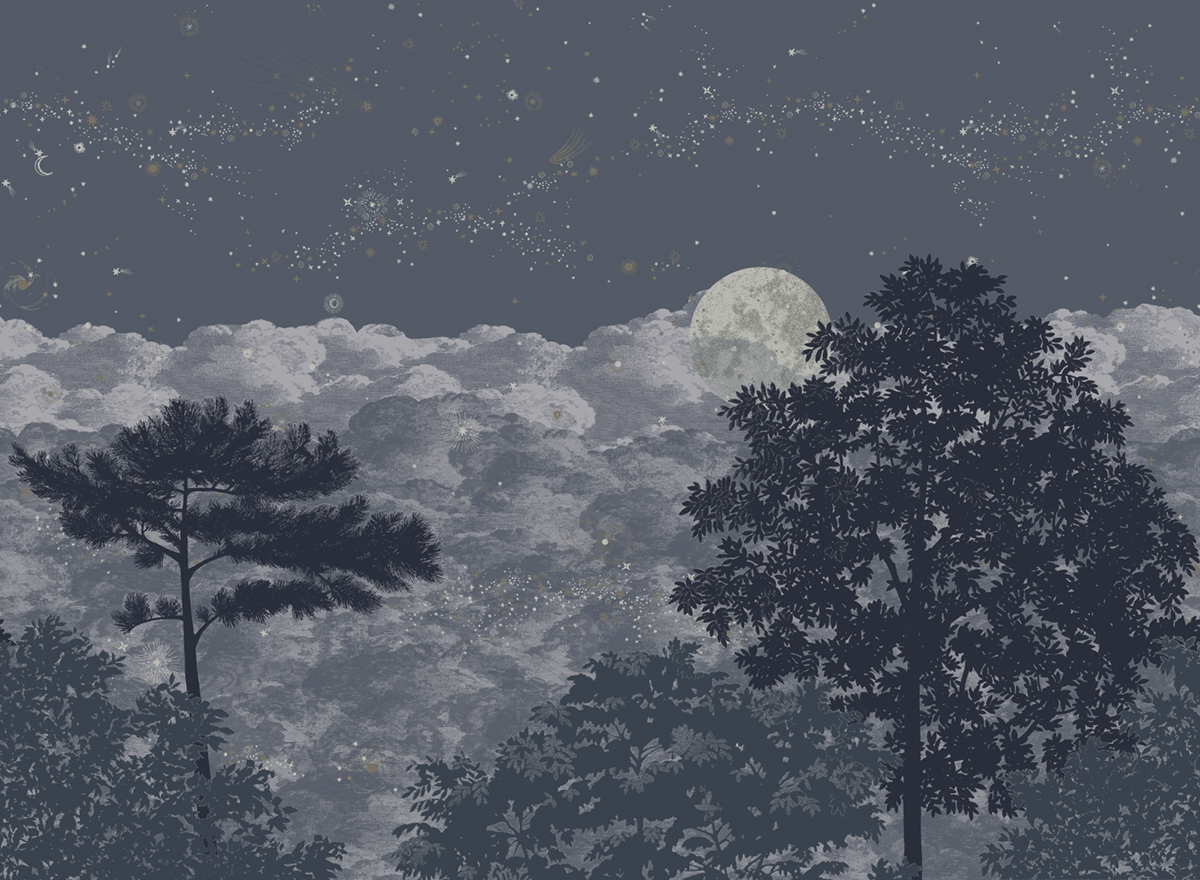 Papier peint panoramique Éclipse Clair Obscur  A+B+C - 1/2/3/4/5/6/7/8/9 - Isidore Leroy