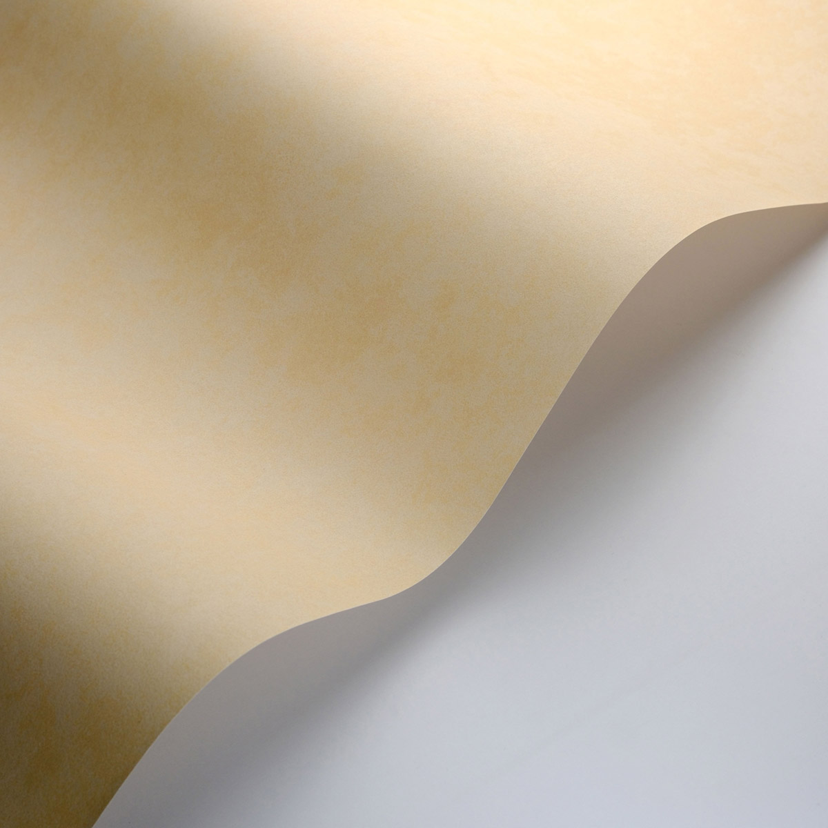 Papier peint Uni Buvard Vallauris jaune ocre - Echappée Belle de Casadéco AMB3| Réf. ECHA89852121