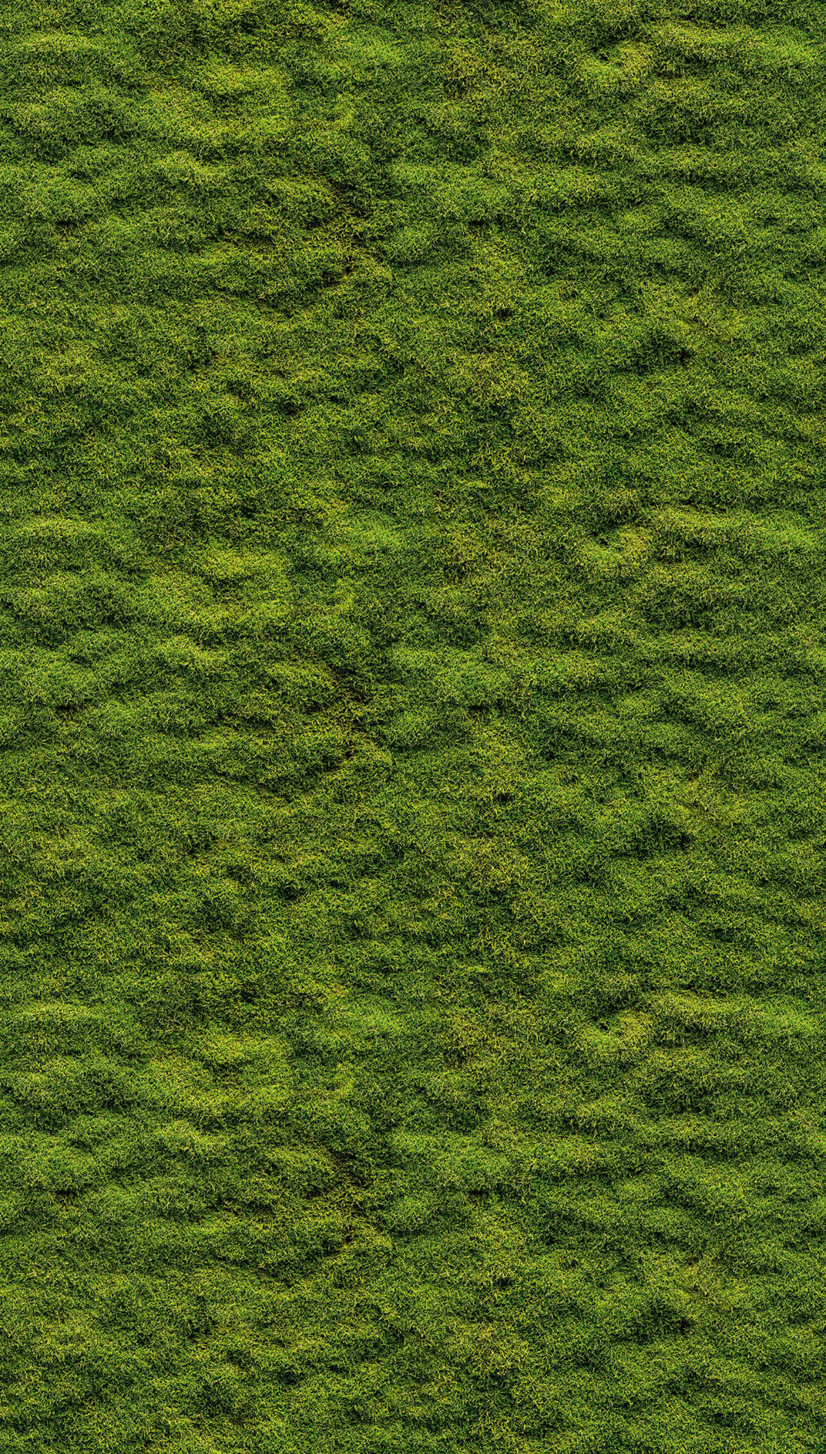 Papier peint panoramique Pelouse Verdure - The Wall 3 d'A.S. Création | Réf. AS-398391