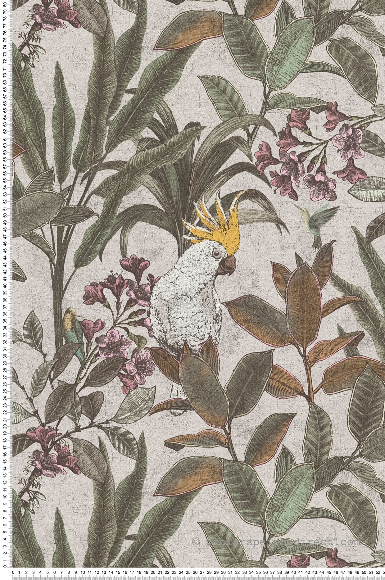 Papier peint Jungle Cacatoès vert grège - Pintwalls 2 d'A.S. Création | Réf. AS-397484