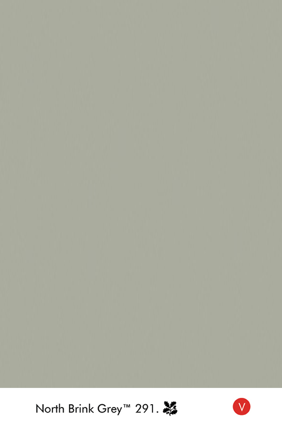 Peinture Little Greene North Brink Grey n°291