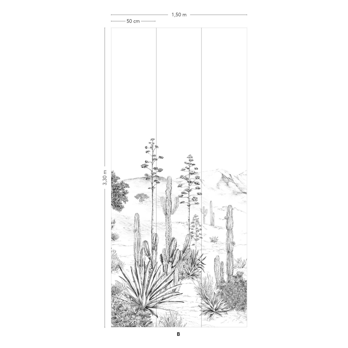 Papier peint panoramique Cactus Succulentes Grisaille B - 4/5/6 - Isidore Leroy