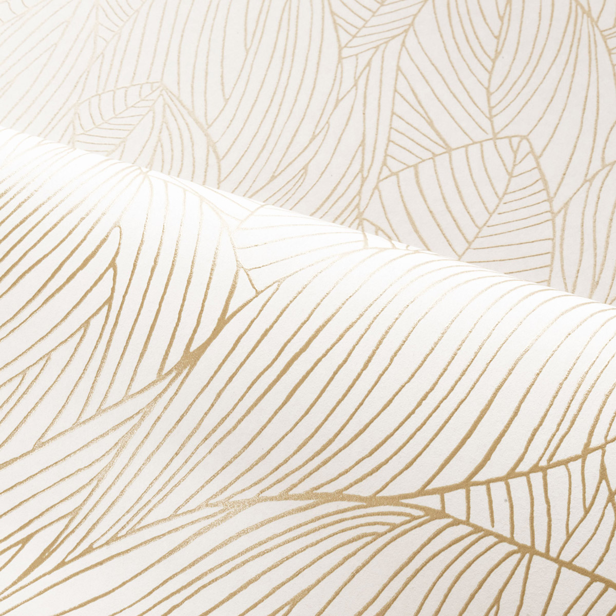 Papier peint Nervure de Feuille Hosta ivoire doré - Jardin Félicia de Casamance AMB3| Réf. CAS-76602140