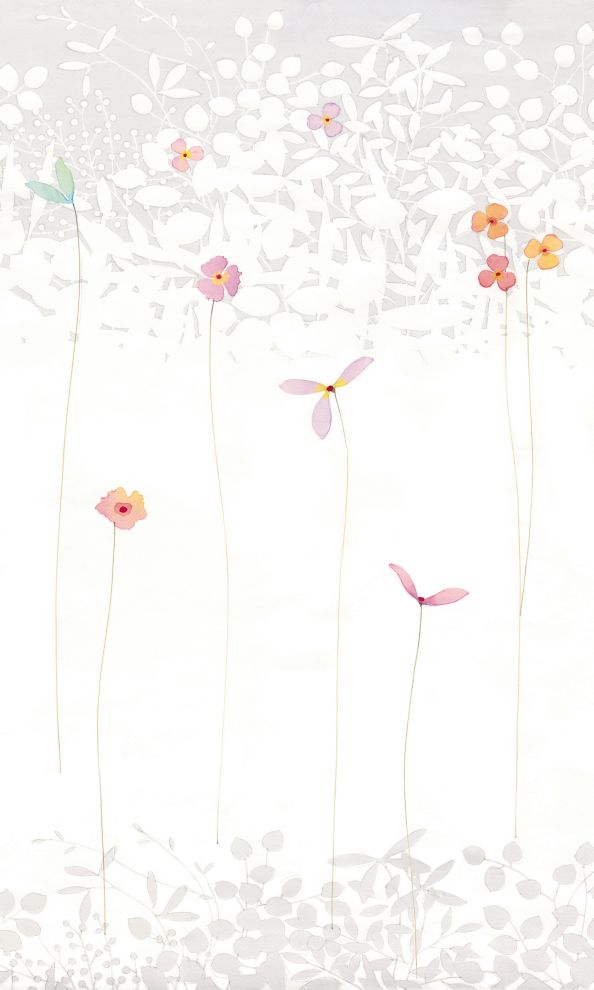 Satomi - panoramique Komar