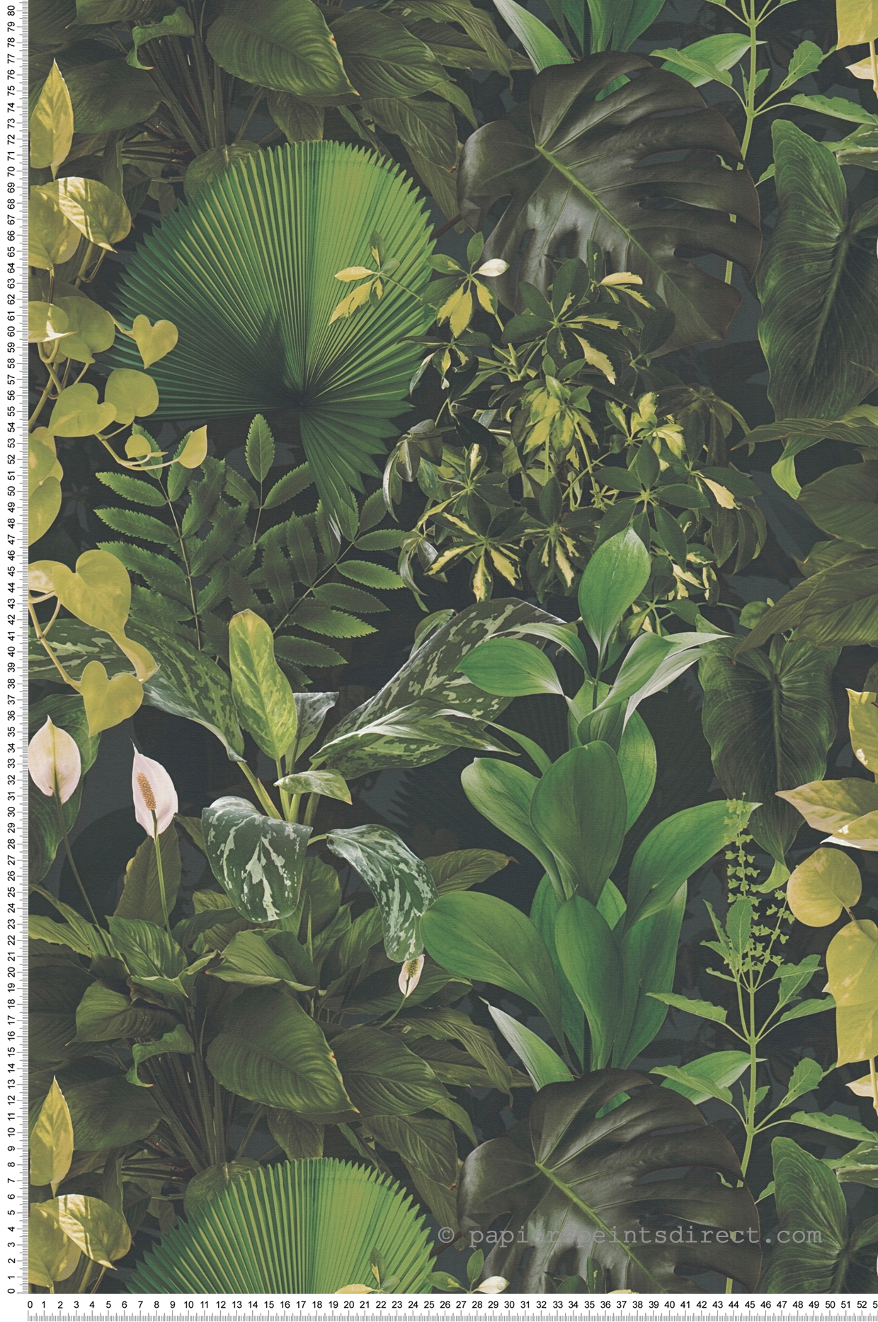 Papier peint Jungle Végétale verte - Pintwalls 2 d'A.S. Création | Réf. AS-396981