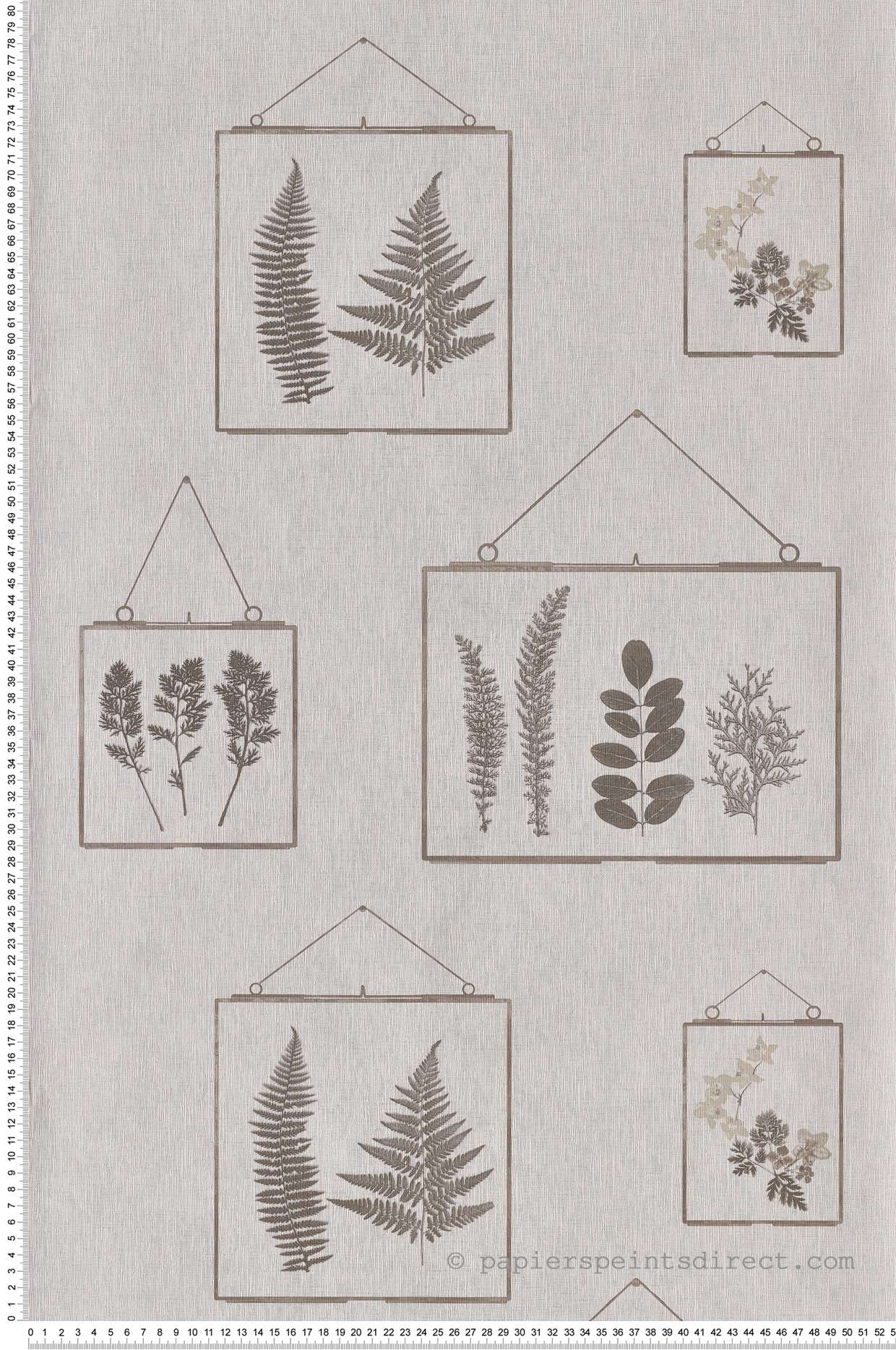 Papier peint nature Herbier Millefeuille taupe - Au Bistrot d'Alice de Casélio | Réf. BIS100631003