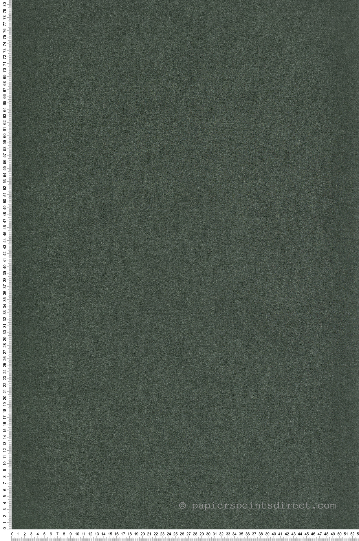 Papier peint Uni vert bouteille - Young & Free de Casélio | Réf. YNF64527370