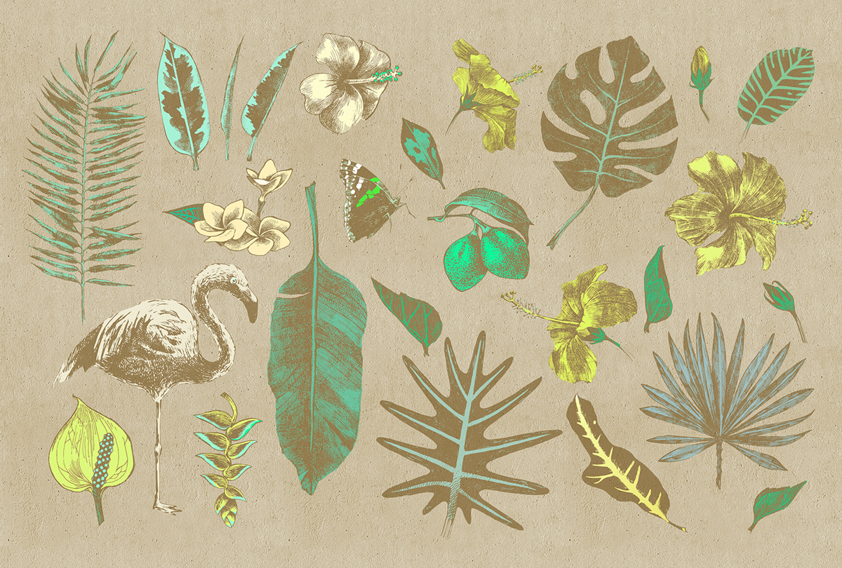 Papier peint panoramique Feuilles Tropicana 2 - Référence DD110991 - Intissé 200g/m2 - Standard 400 x 270