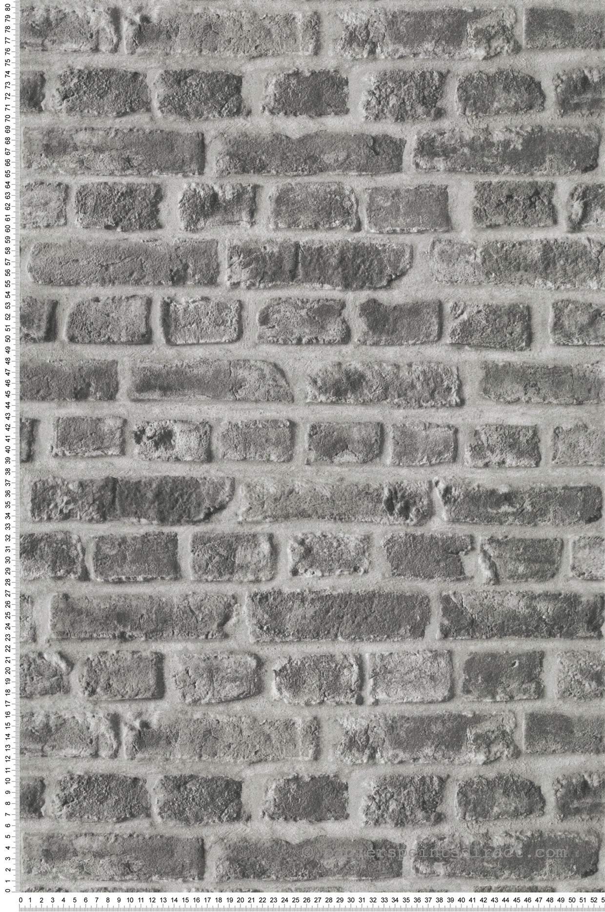 Papier peint Brique Sablée gris - Les Aventures de Lutèce | Réf. LTC-51242609