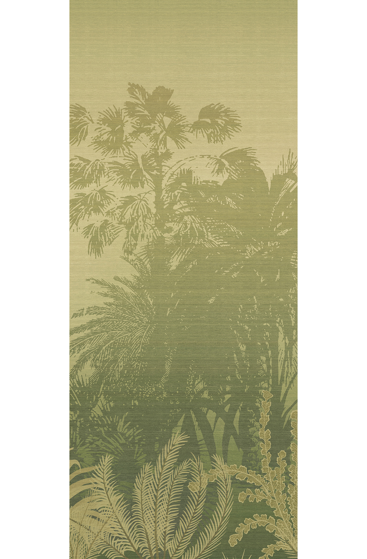 Papier peint panoramique Jungle Awarra vert - C H260 - Amazone de Masureel | Réf. MAS-DGZON1023-260