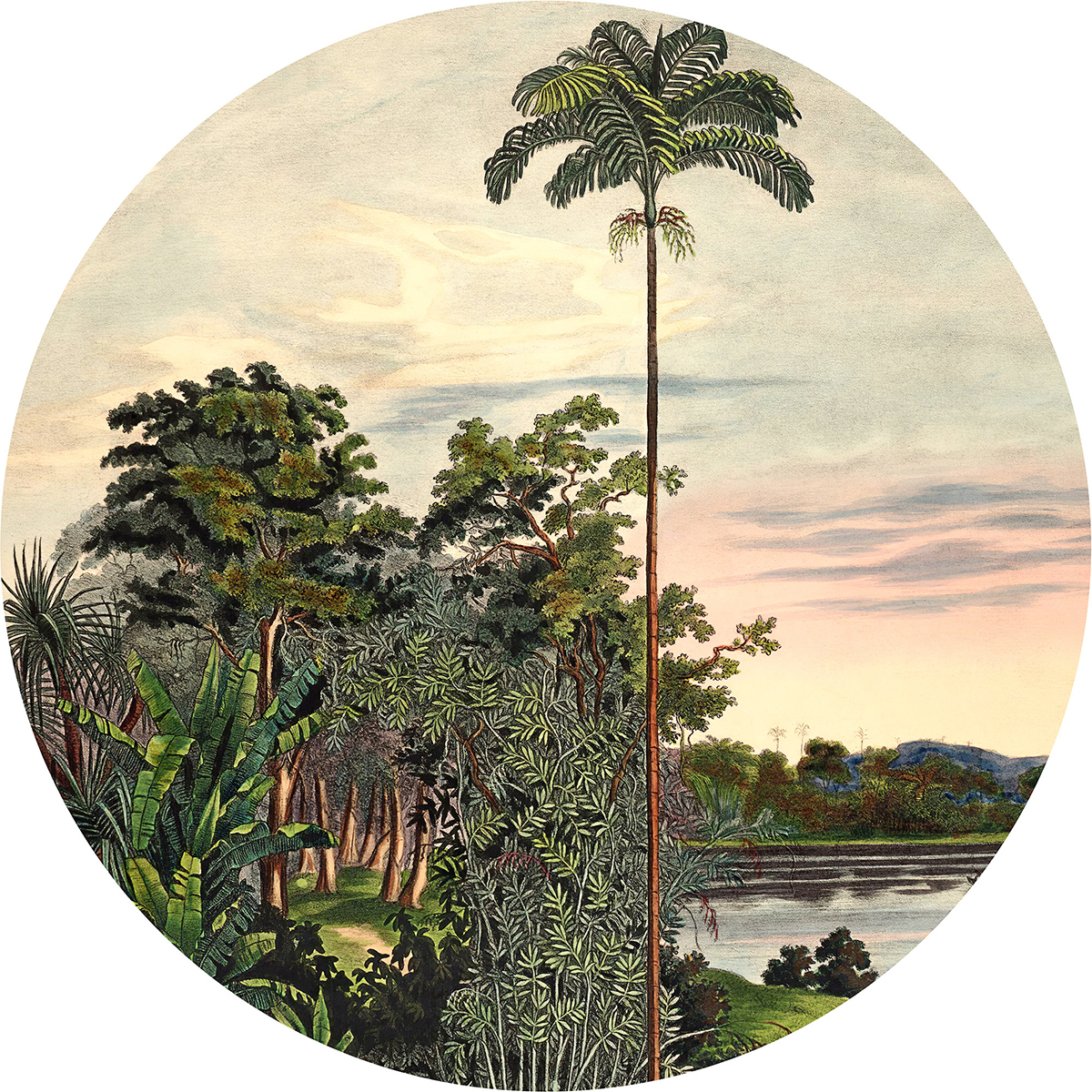 Papier peint adhésif rond Exotique Vintage Landscape - Papier peint Komar Le Jardin