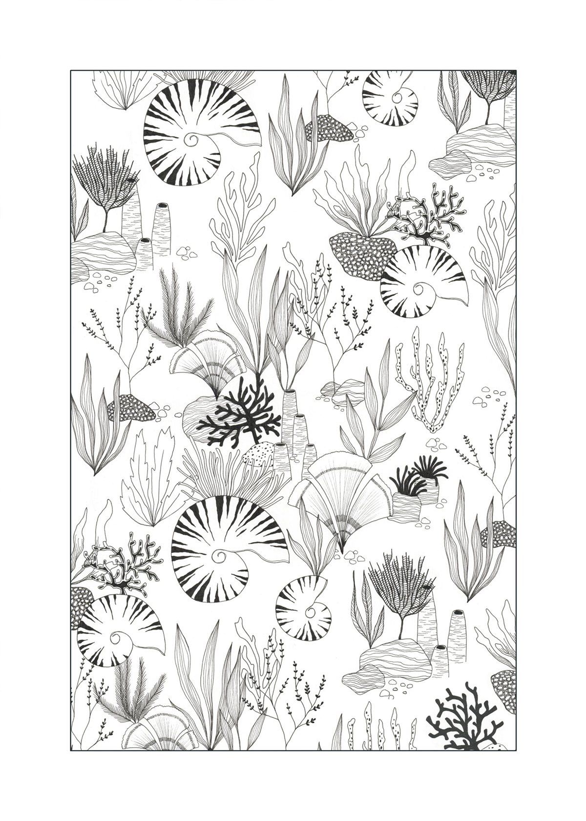 Affiche Coraux Sous l'Océan 50x70 noir et blanc - Seaside de Casadéco | Réf. SEAS201679904