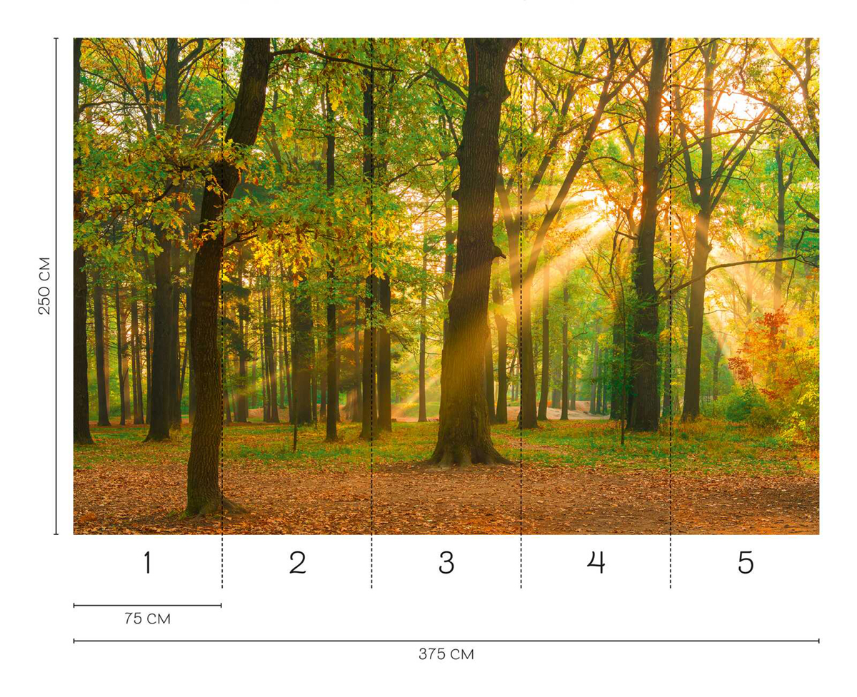 Papier peint panoramique Forêt Woodland - Wall Love d'A.S. Création REGLE | Réf. DD129566