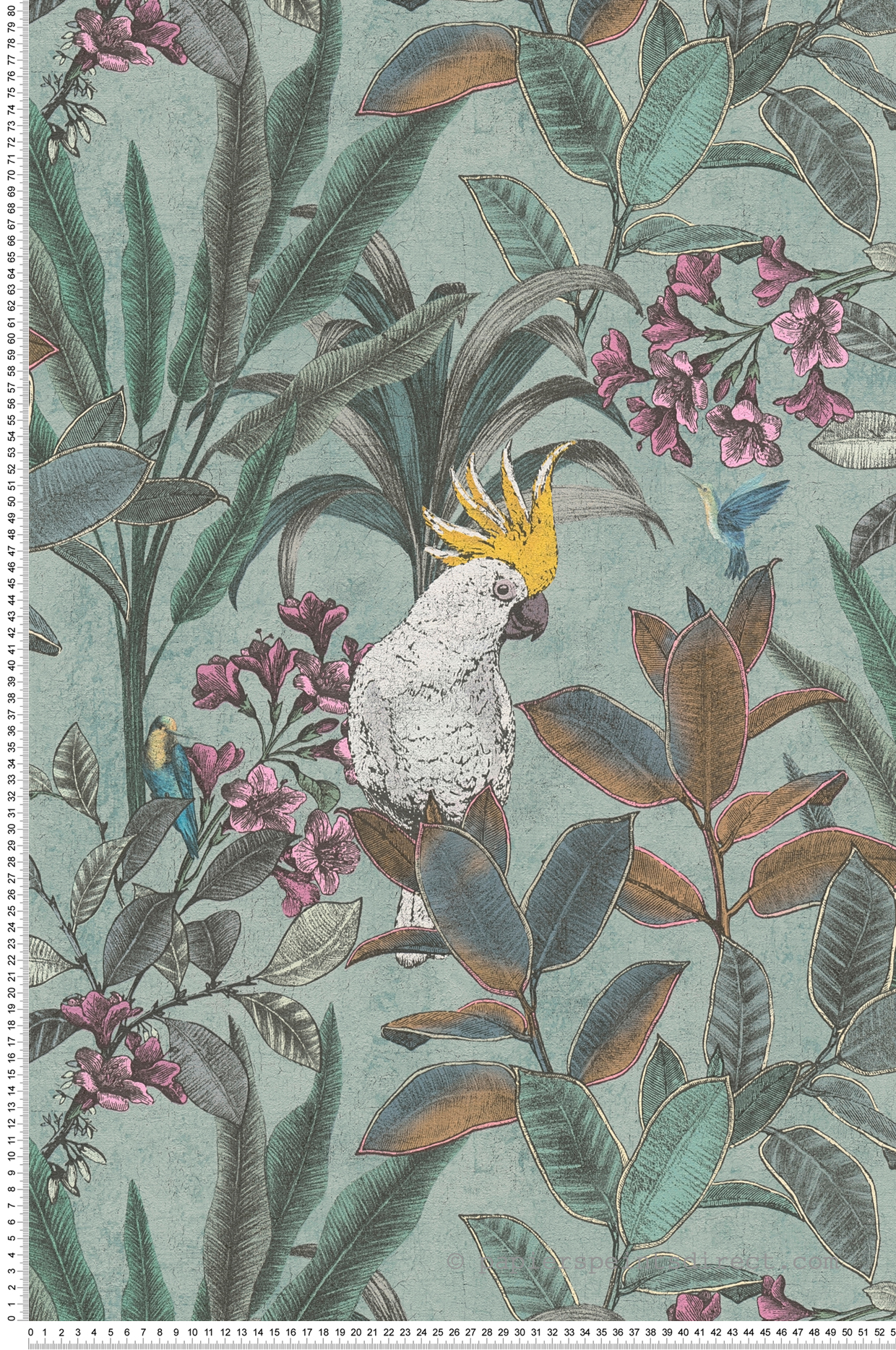 Papier peint Jungle Cacatoès vert d'eau - Pintwalls 2 d'A.S. Création | Réf. AS-397482