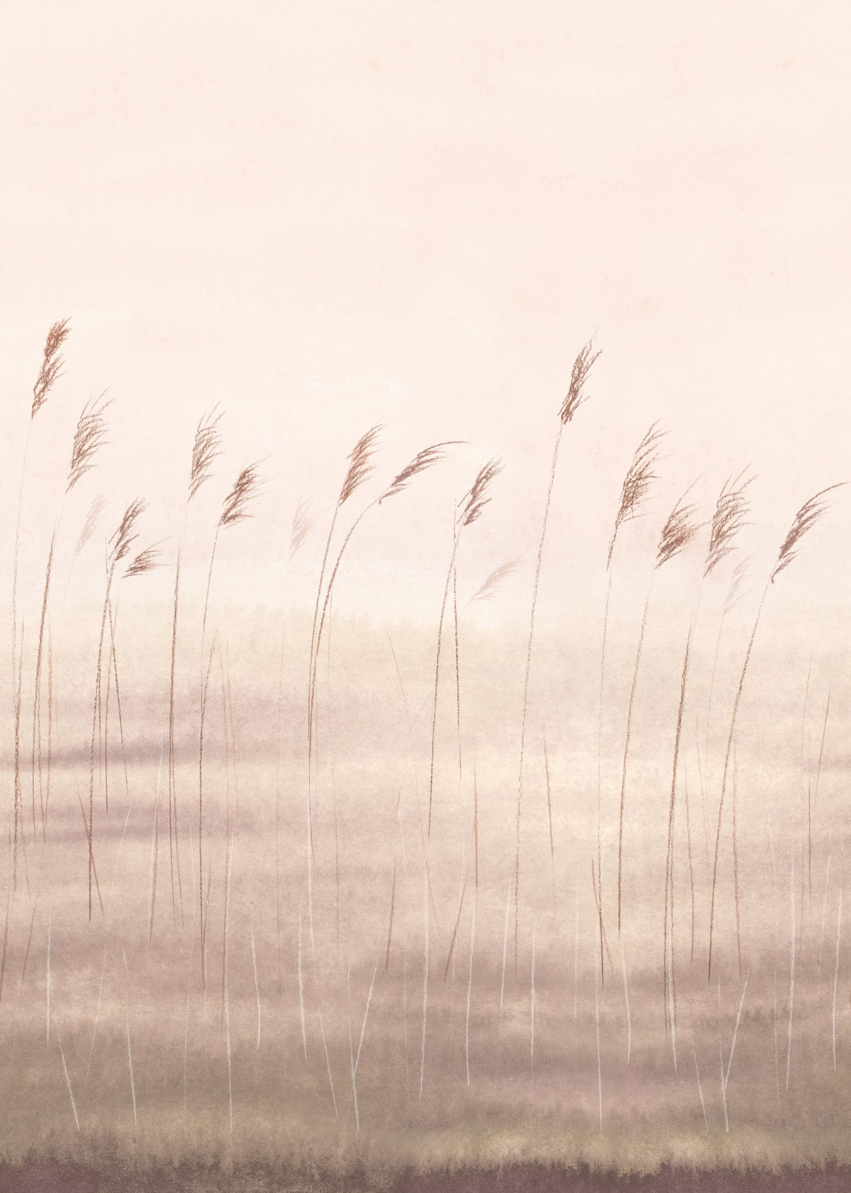 Papier peint panoramique Herbe Jonc des Dunes M naturel 200X280 - Wonderwalls 2 de Casadéco | Réf. WDWD200081503