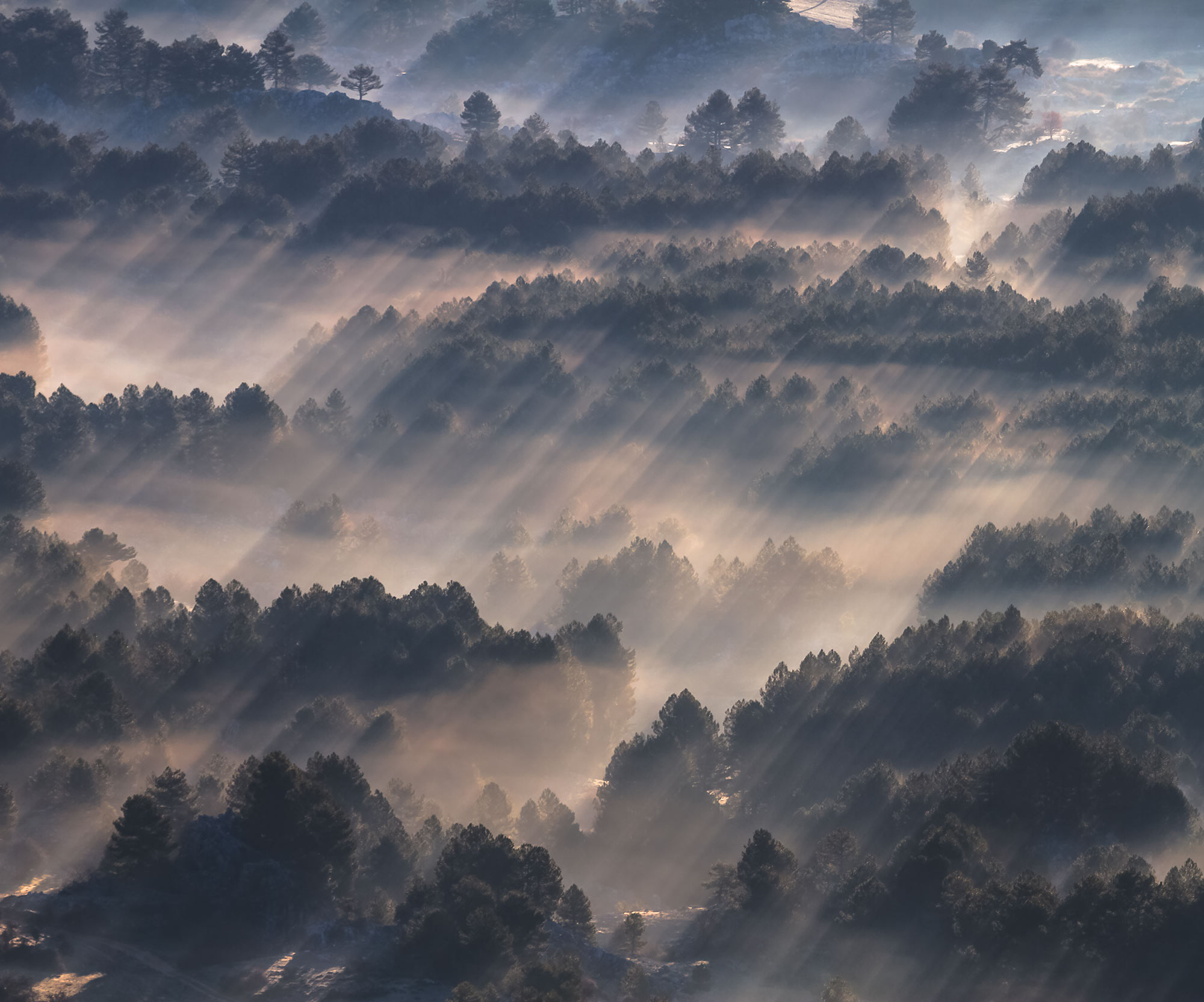 Panoramique Rays - Papier peint Komar