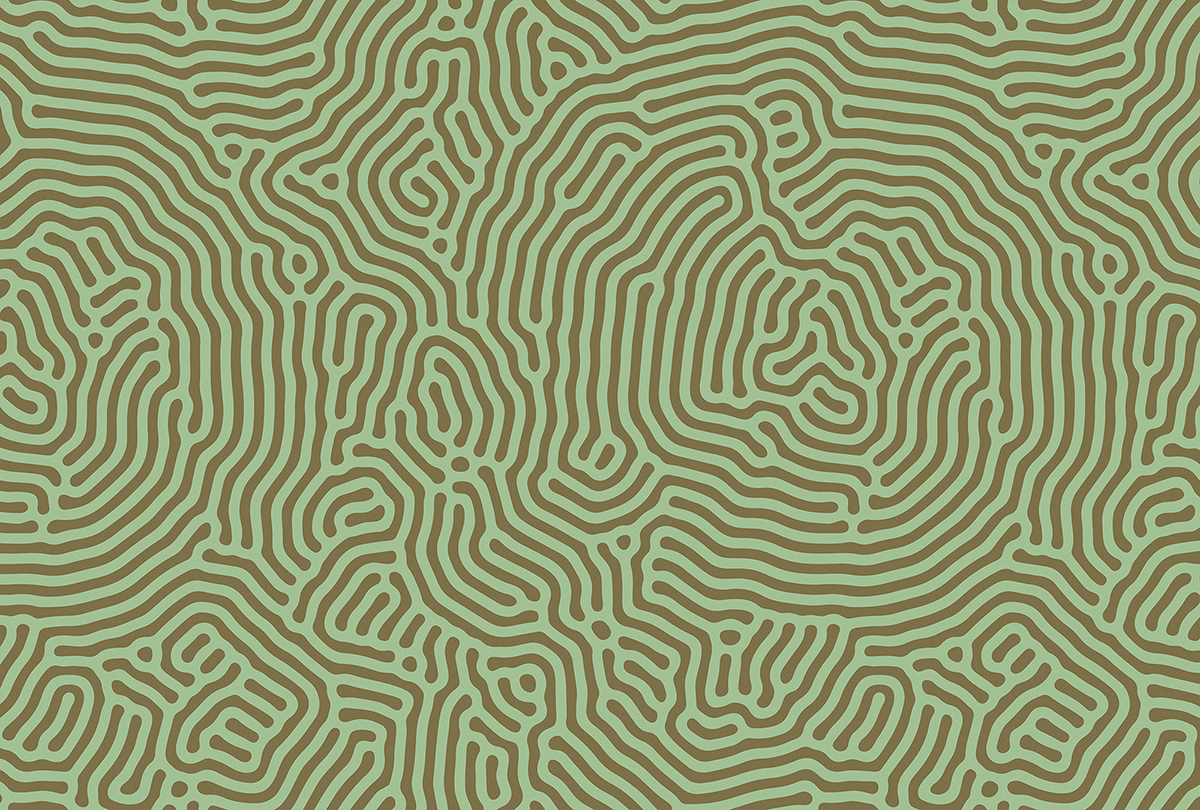 Papier peint panoramique Walls by Patel 3 - Référence DD122844 - Intissé 200g/m2 - 400 x 270 cm