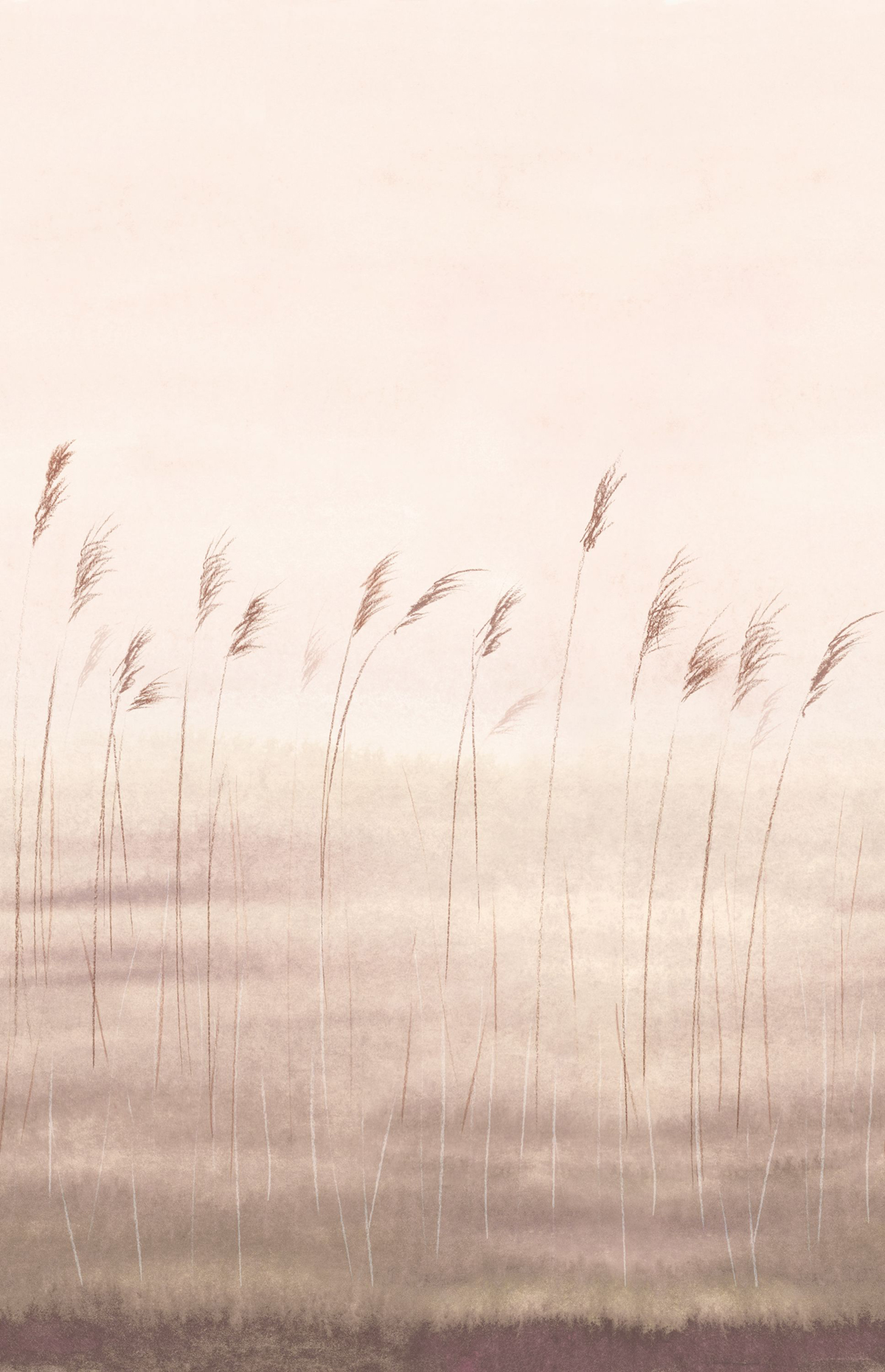 Papier peint panoramique Herbe Jonc des Dunes L naturel 200X310 - Wonderwalls 2 de Casadéco | Réf. WDWD200081504