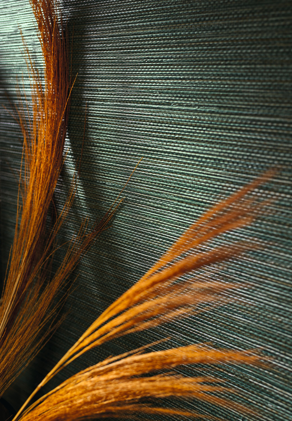 Papier peint Paille Zostera vert émeraude - Golfe du Bengale de Casamance | Réf. CAS-75972344